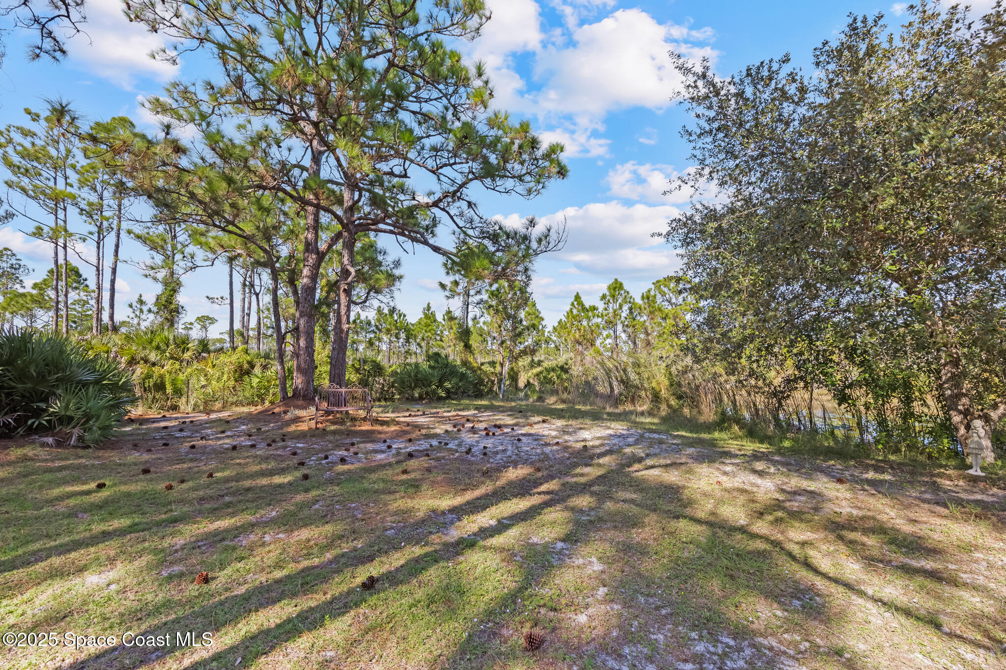 6885 Orchid Tree Drive