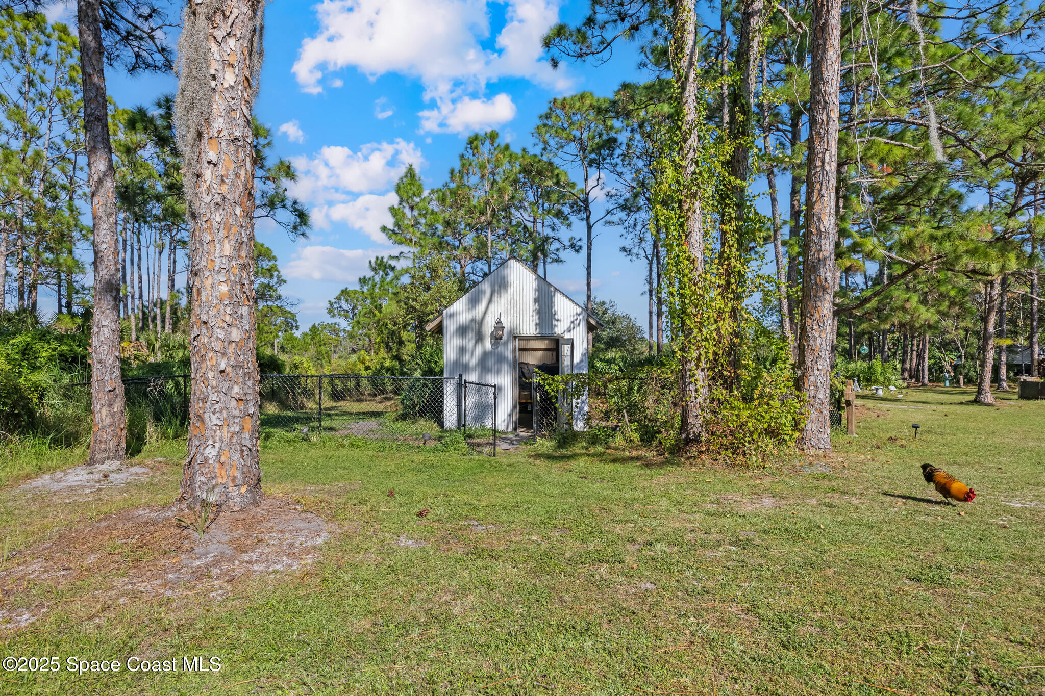 6885 Orchid Tree Drive