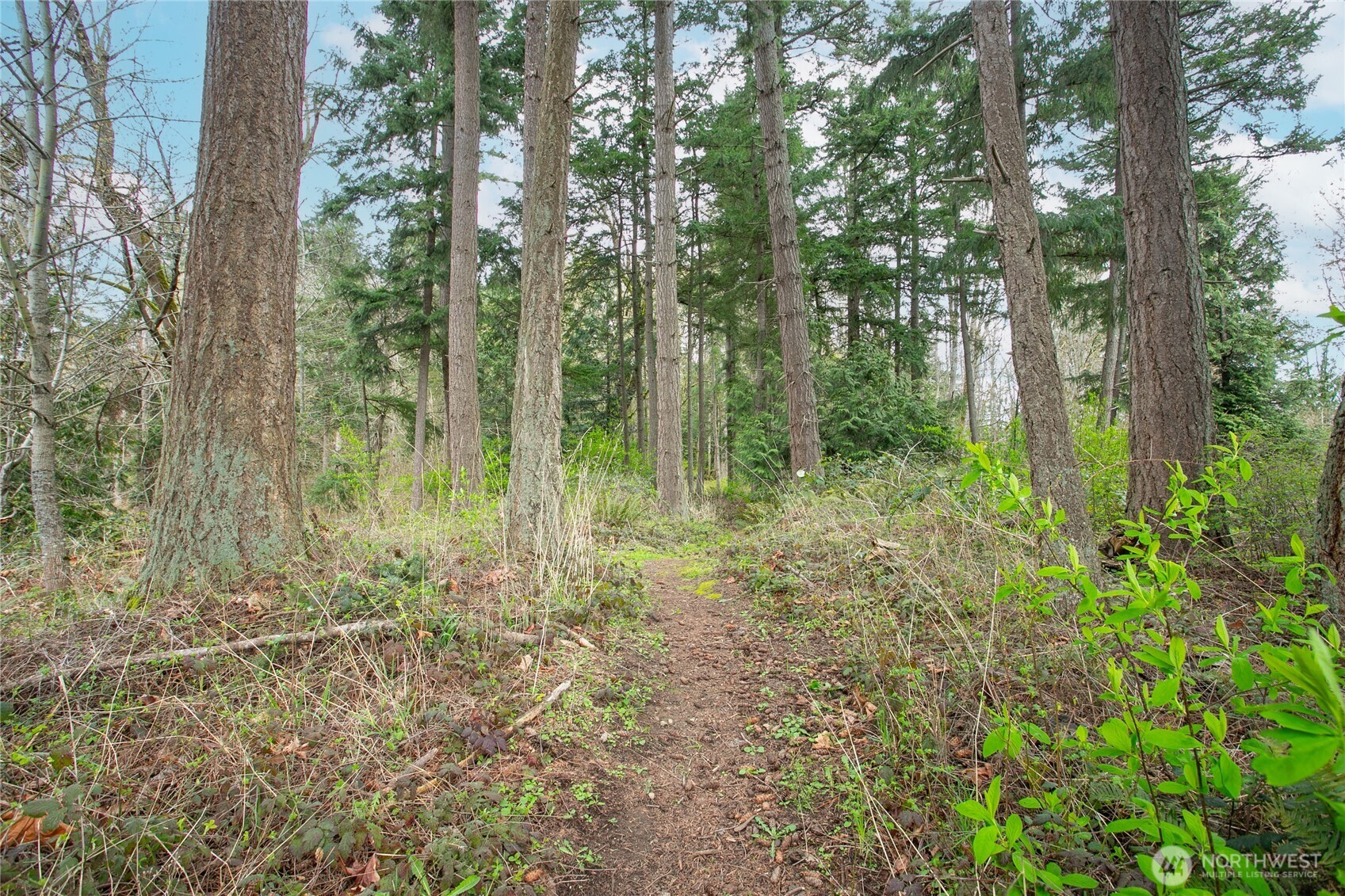 4268 Stonecrest Court