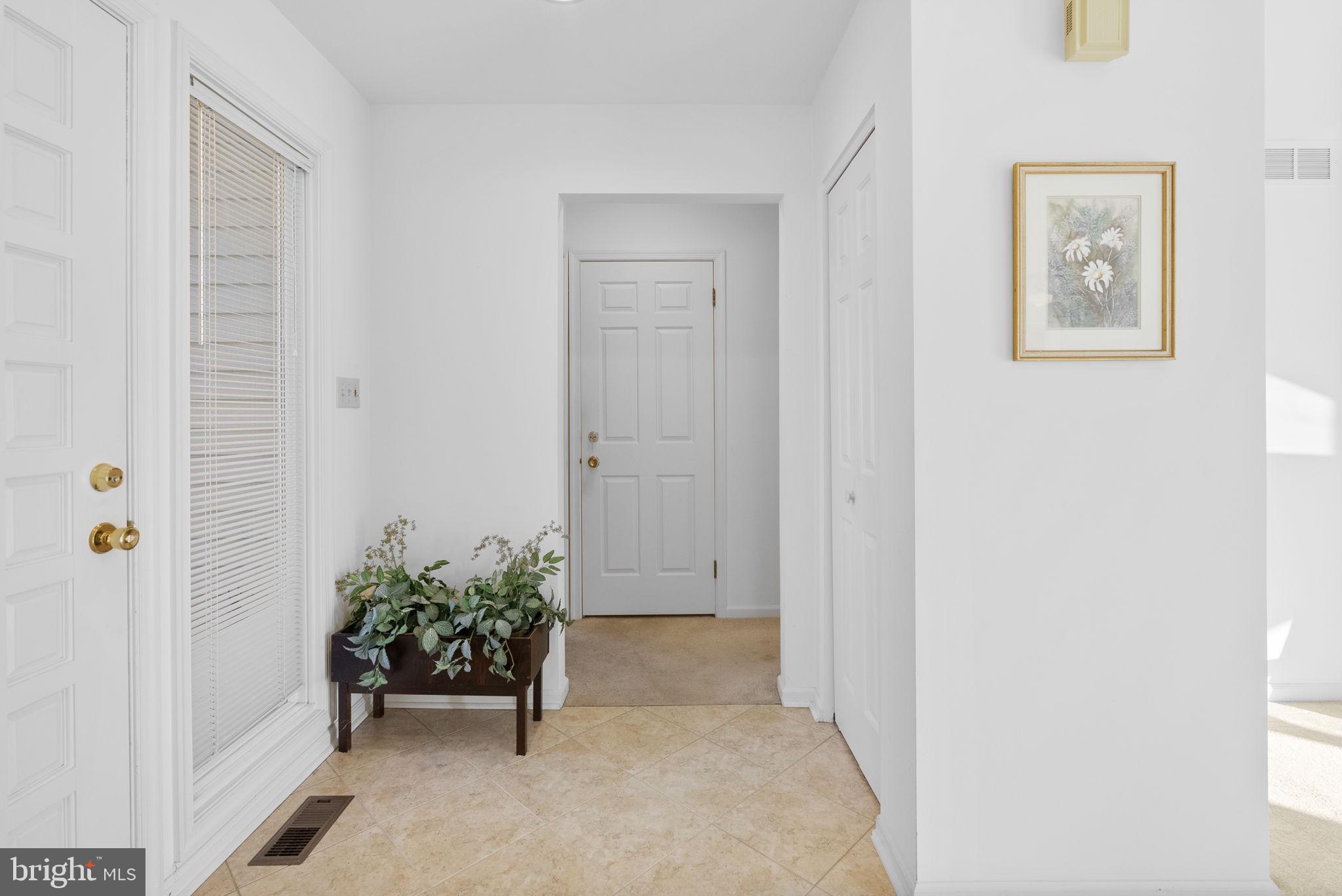 1135 Mews Ln