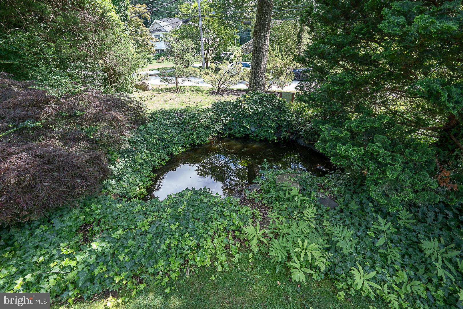 541 W BEECHTREE LANE