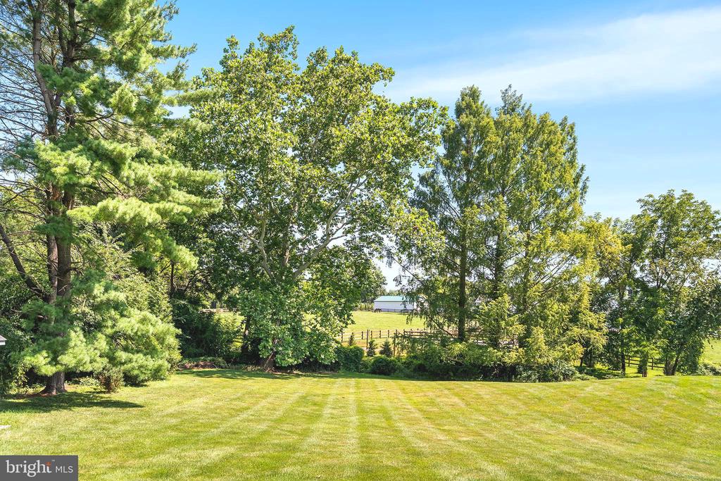 1173 SHADOW OAK DRIVE