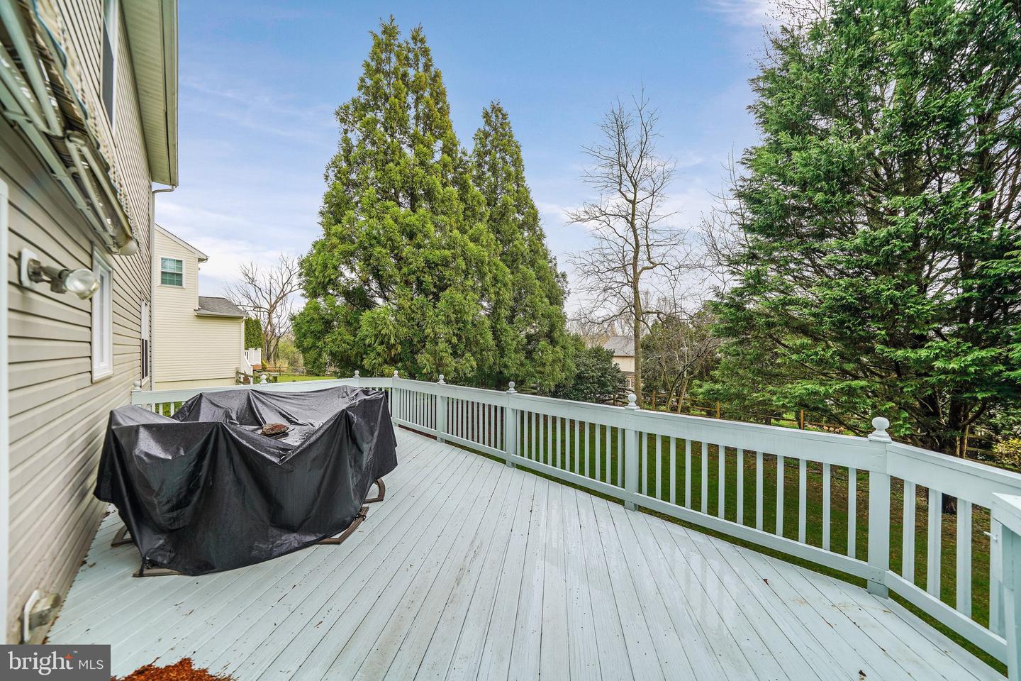 804 E Daffodill Ln