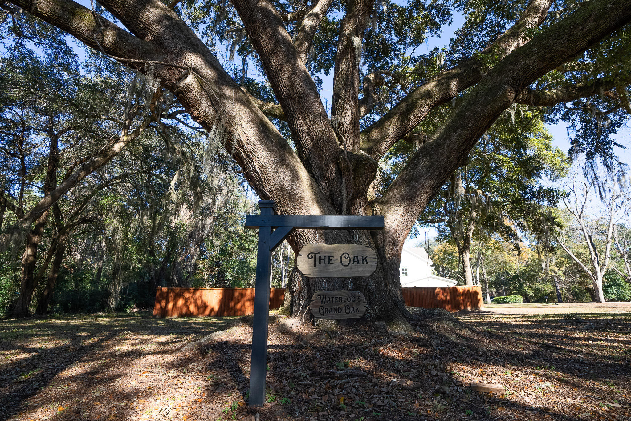 3026 Olivia Marie Lane