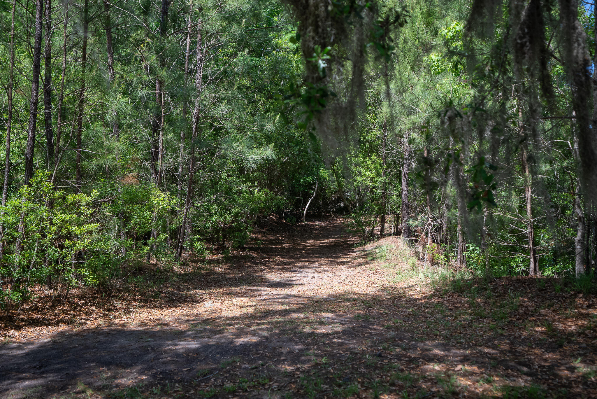 5060 Catfish Loop