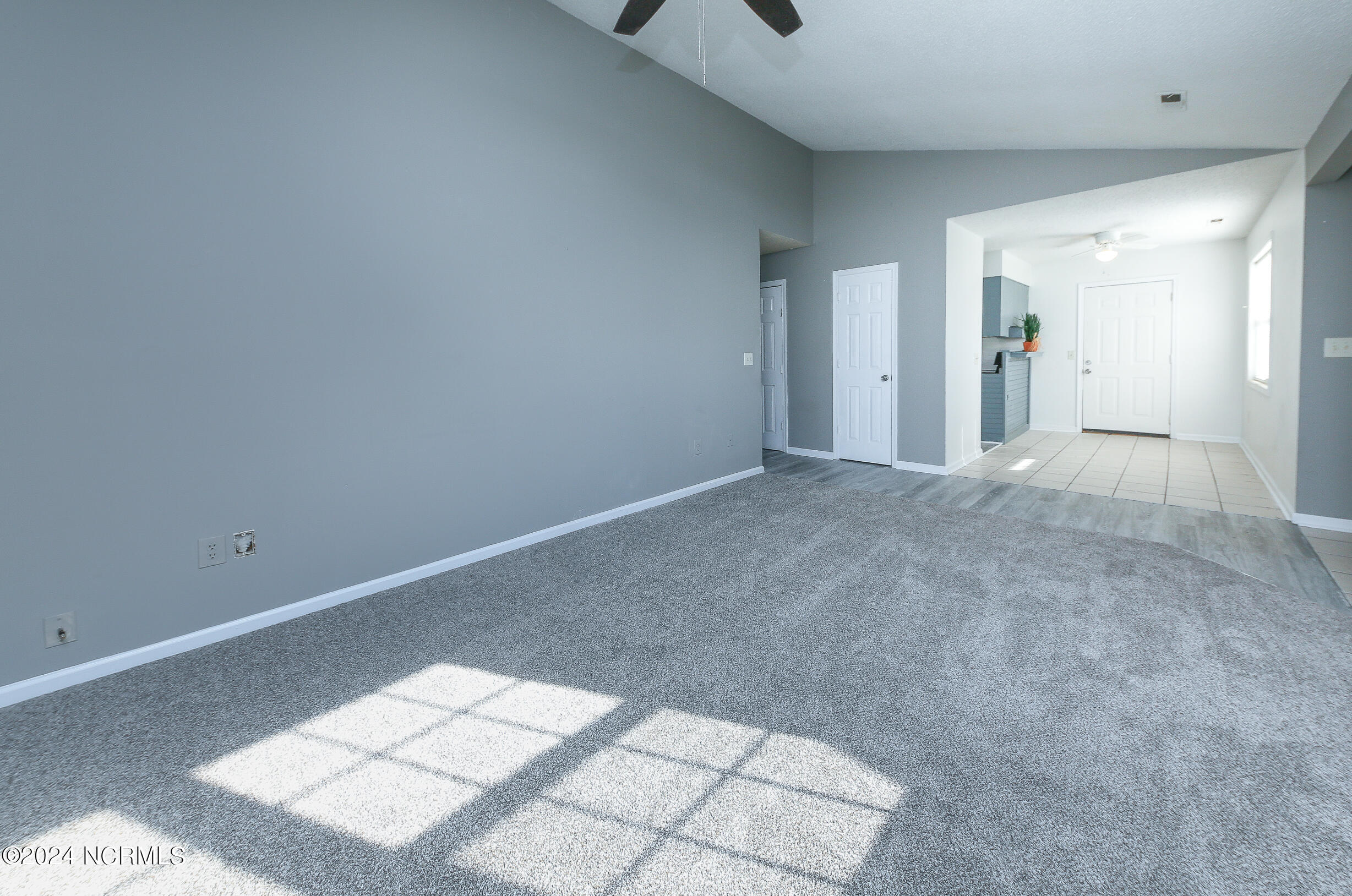 101 Mimosa Lane