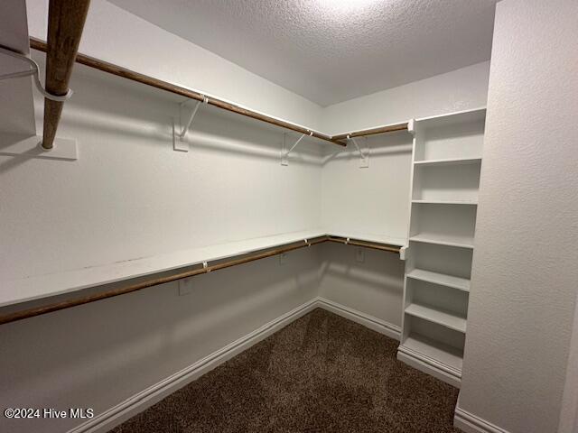 128 Tulip Tree Drive