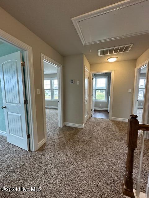 128 Tulip Tree Drive