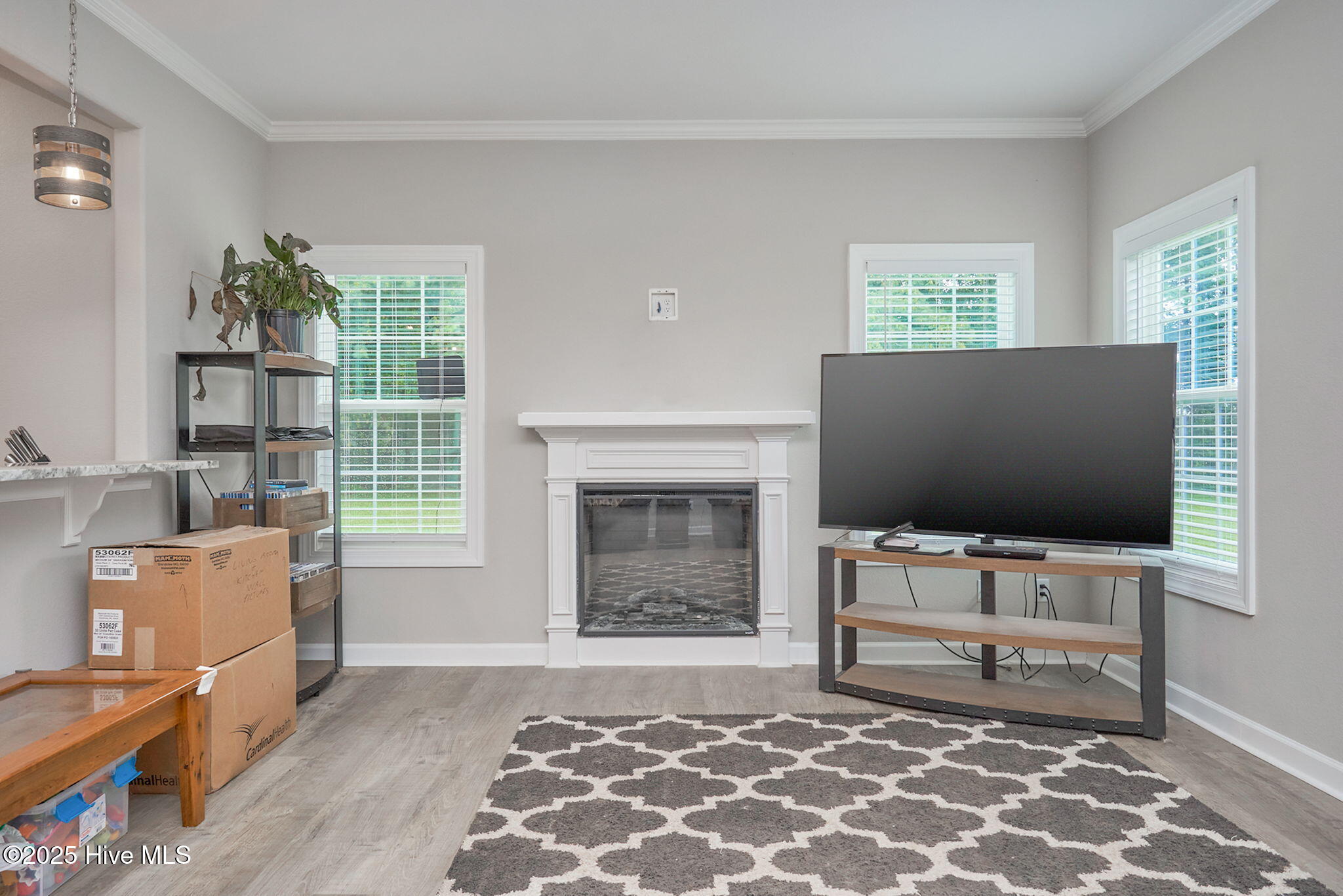 203 Juniper Drive