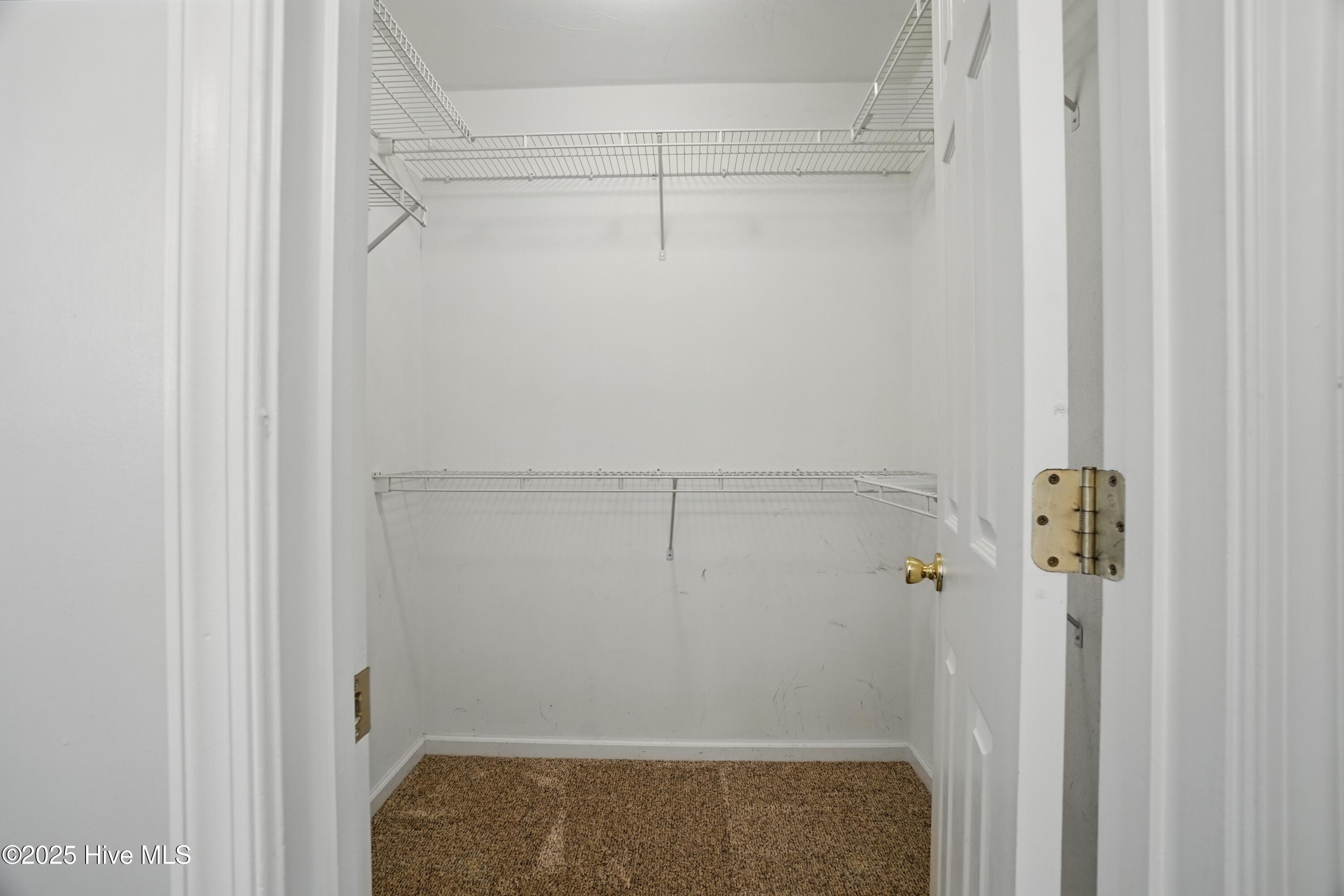 101 Whitetail Court