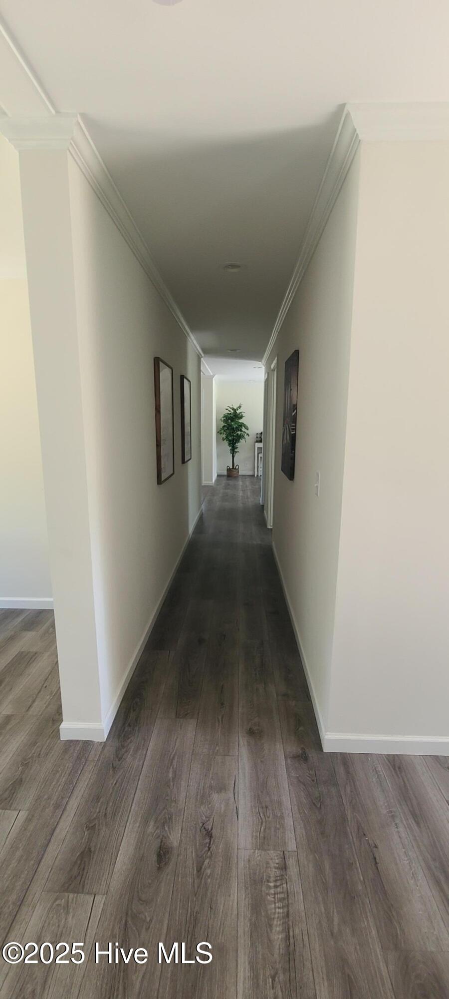 175 Pinto Drive
