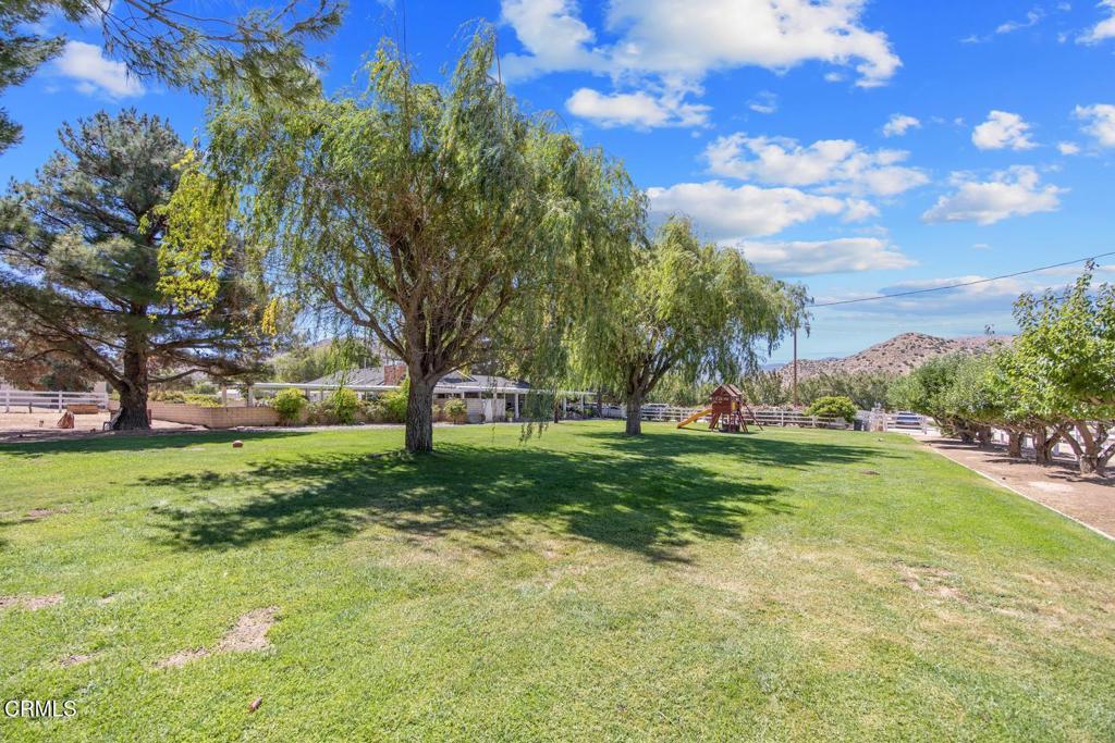 2133 1/2 Carson Mesa Road