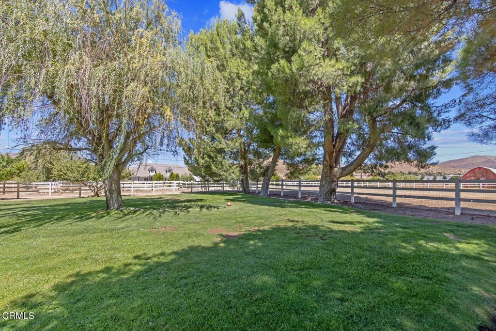2133 1/2 Carson Mesa Road