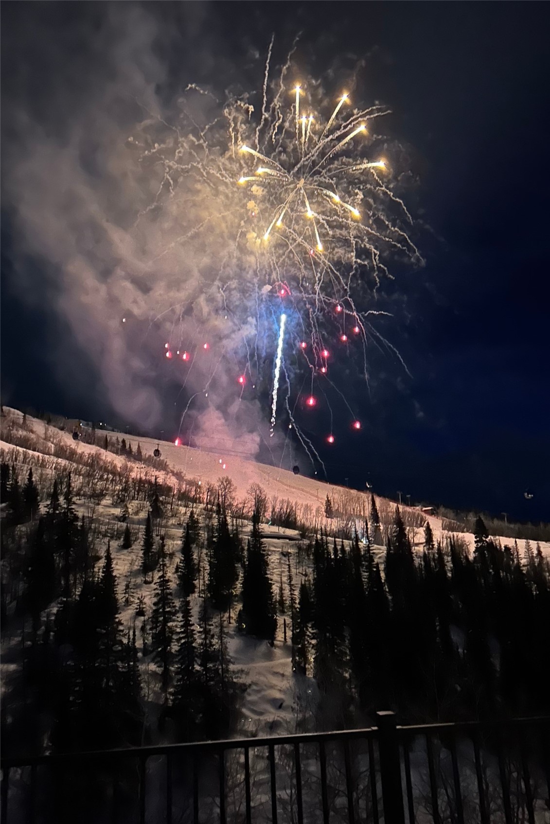 2405 Storm Meadows DRIVE 1