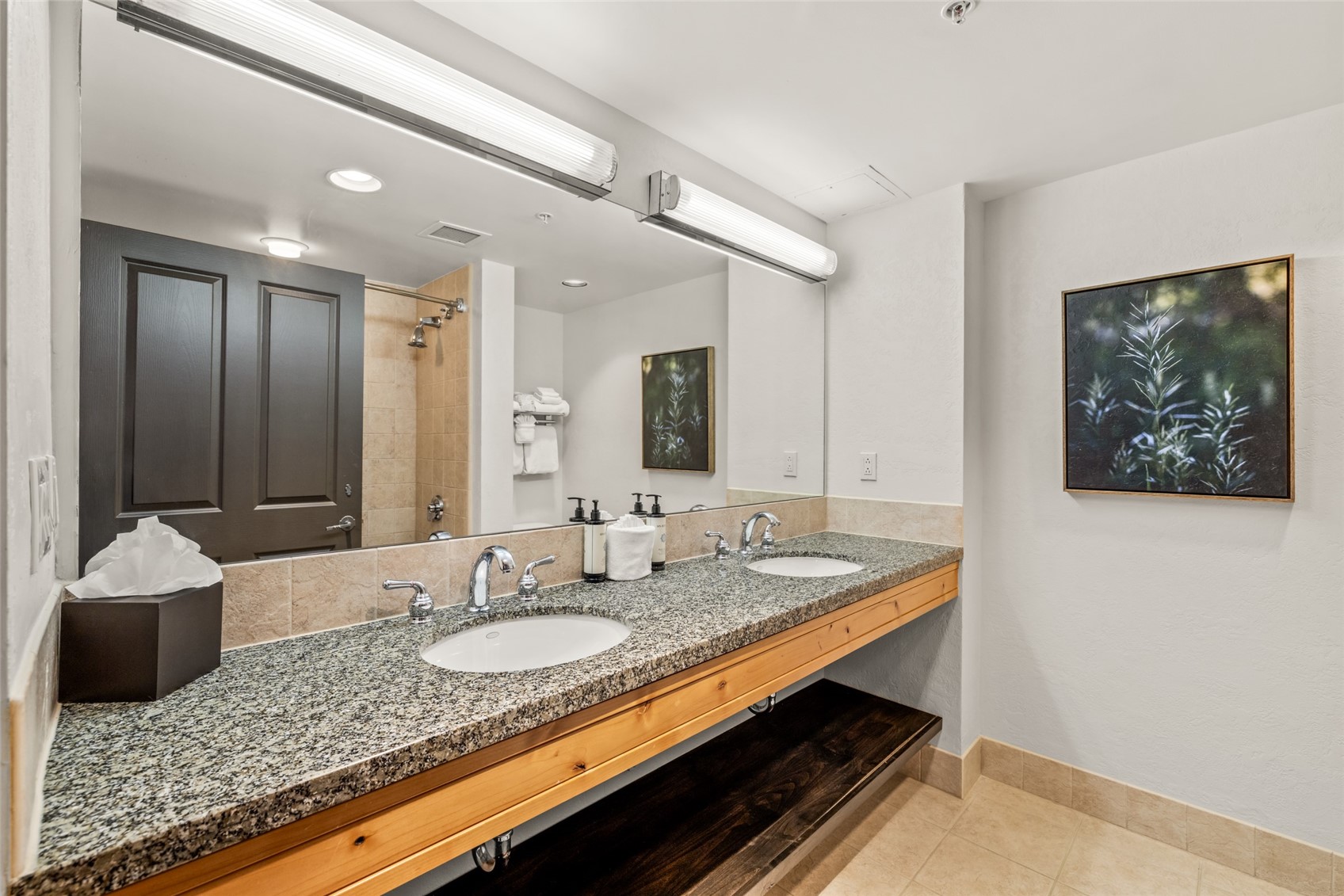 2300 Mount Werner CIRCLE 228/229