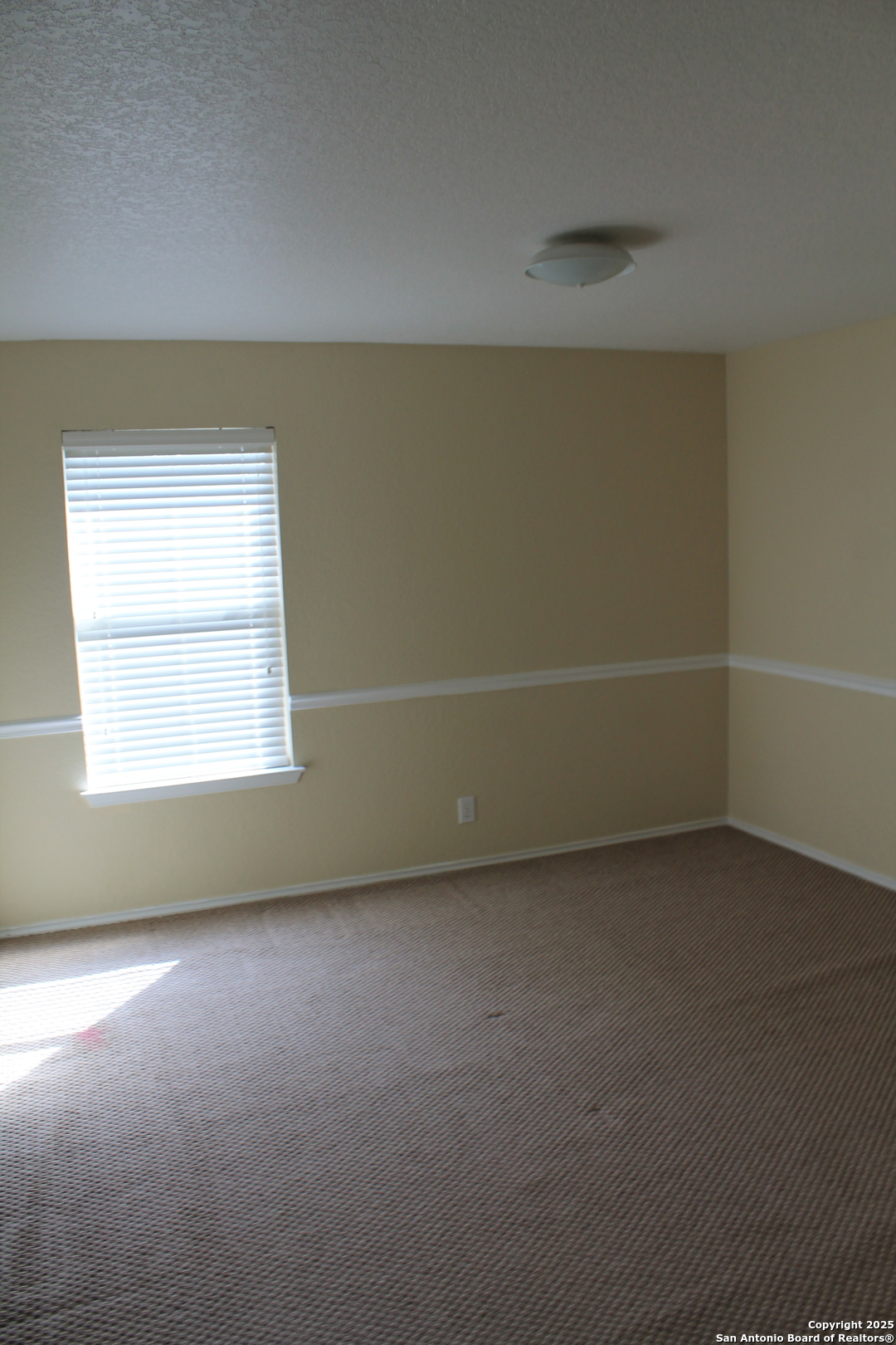 14803 Academy Oak