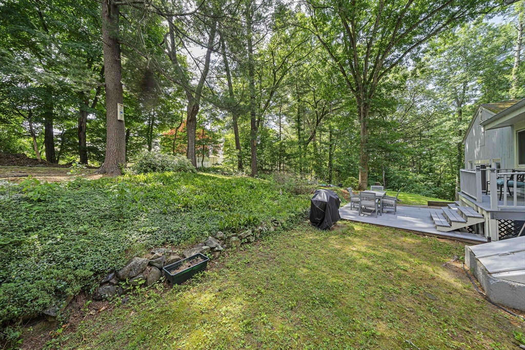 10 Trayer Rd