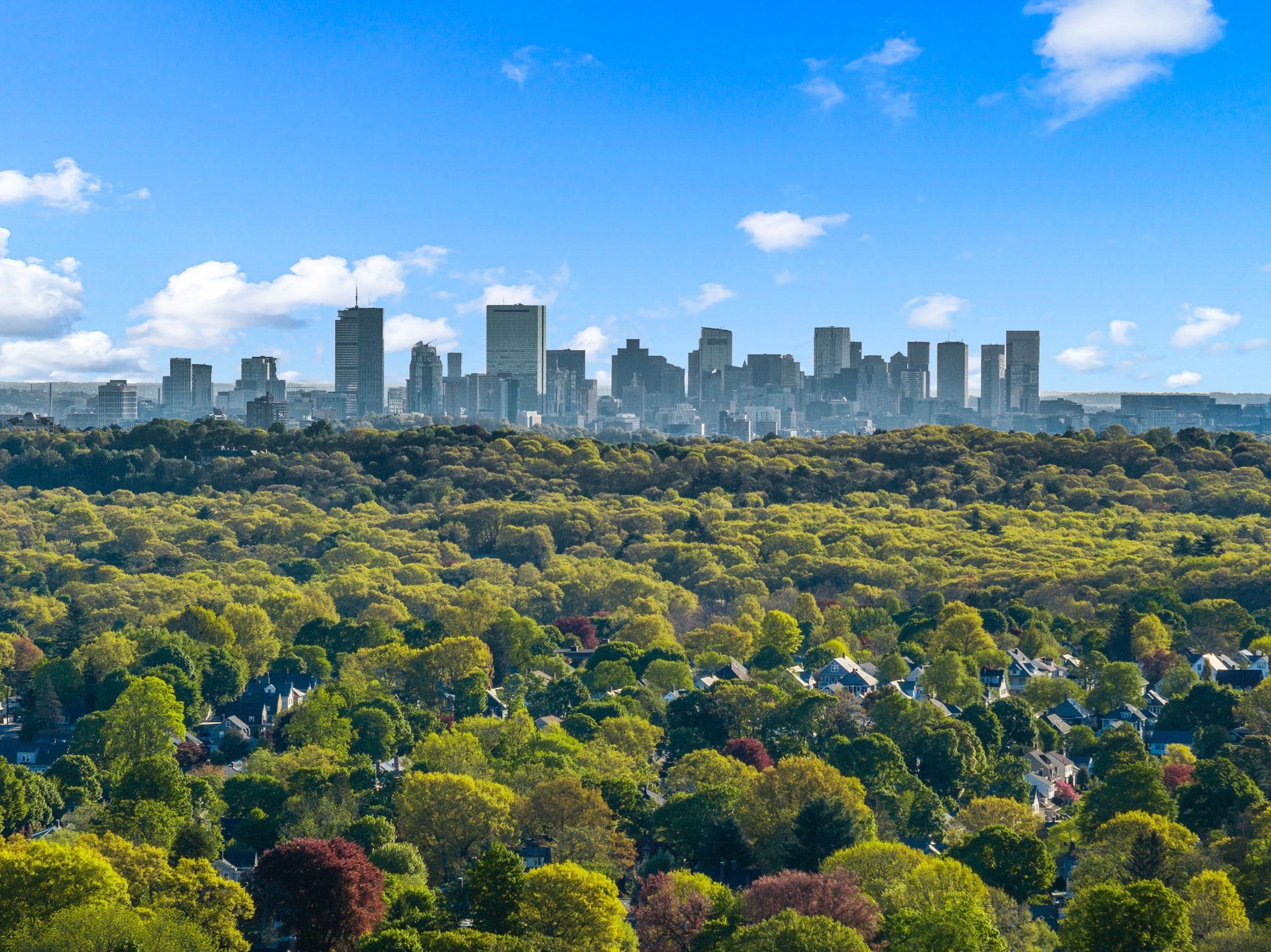 Aerial view of leafy Boston neighborhoods and autumn trees, with the downtown skyline in the distance.