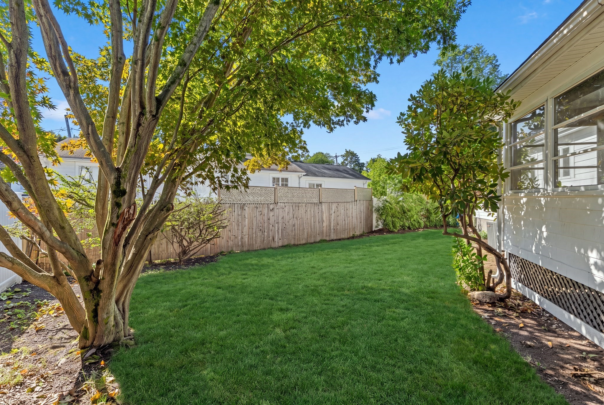 Backyard lawn with a large shade tree and wooden privacy fence beside the house.