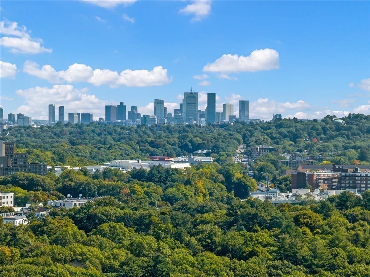 Tree-covered landscape and buildings frame the distant Boston skyline beneath a blue sky.