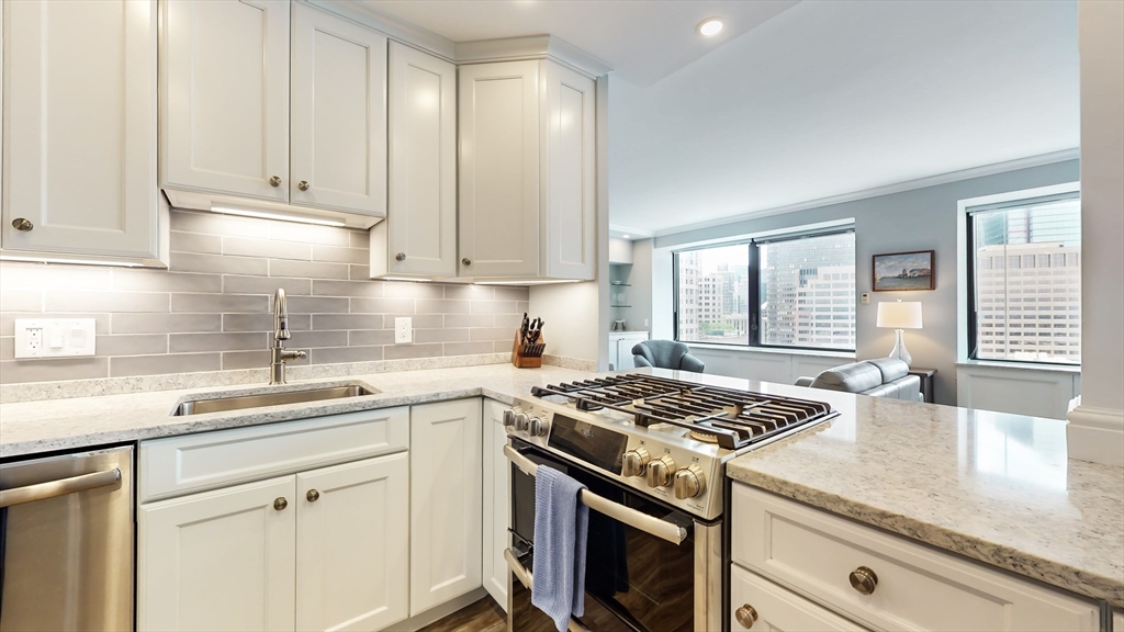 65 E India Row # 24H