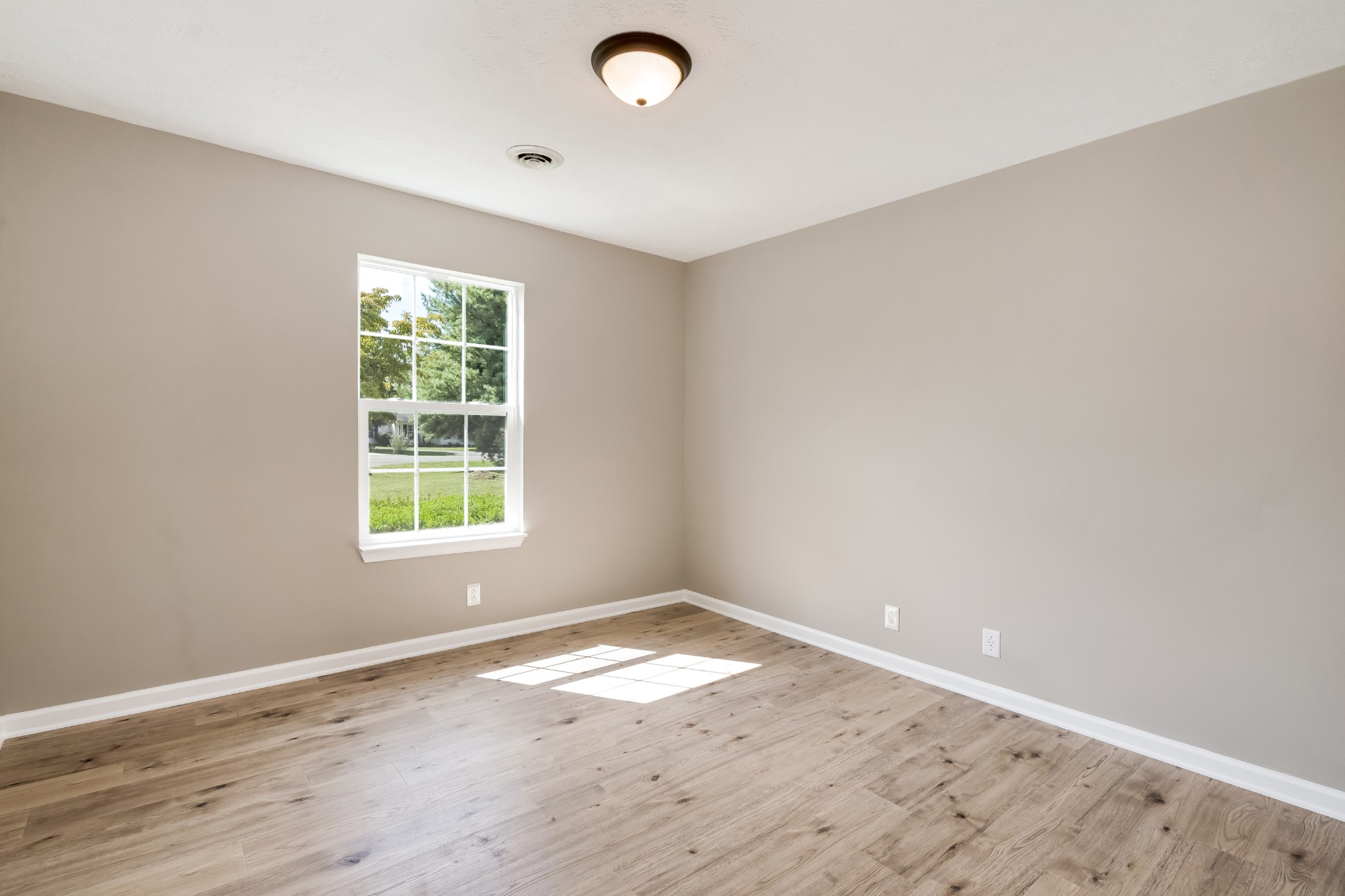115 Haney Ct