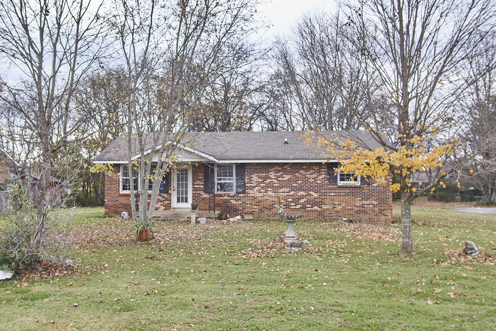 204 Branch Trl