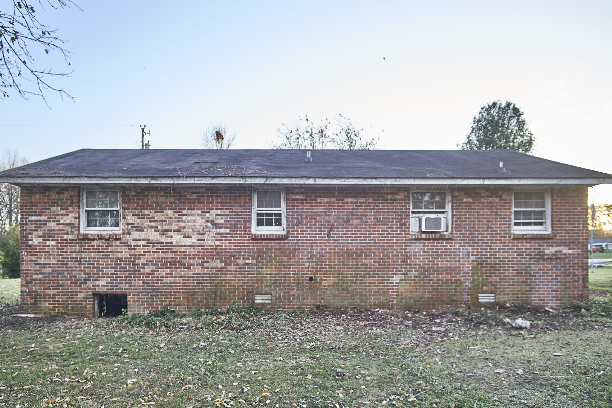 204 Branch Trl