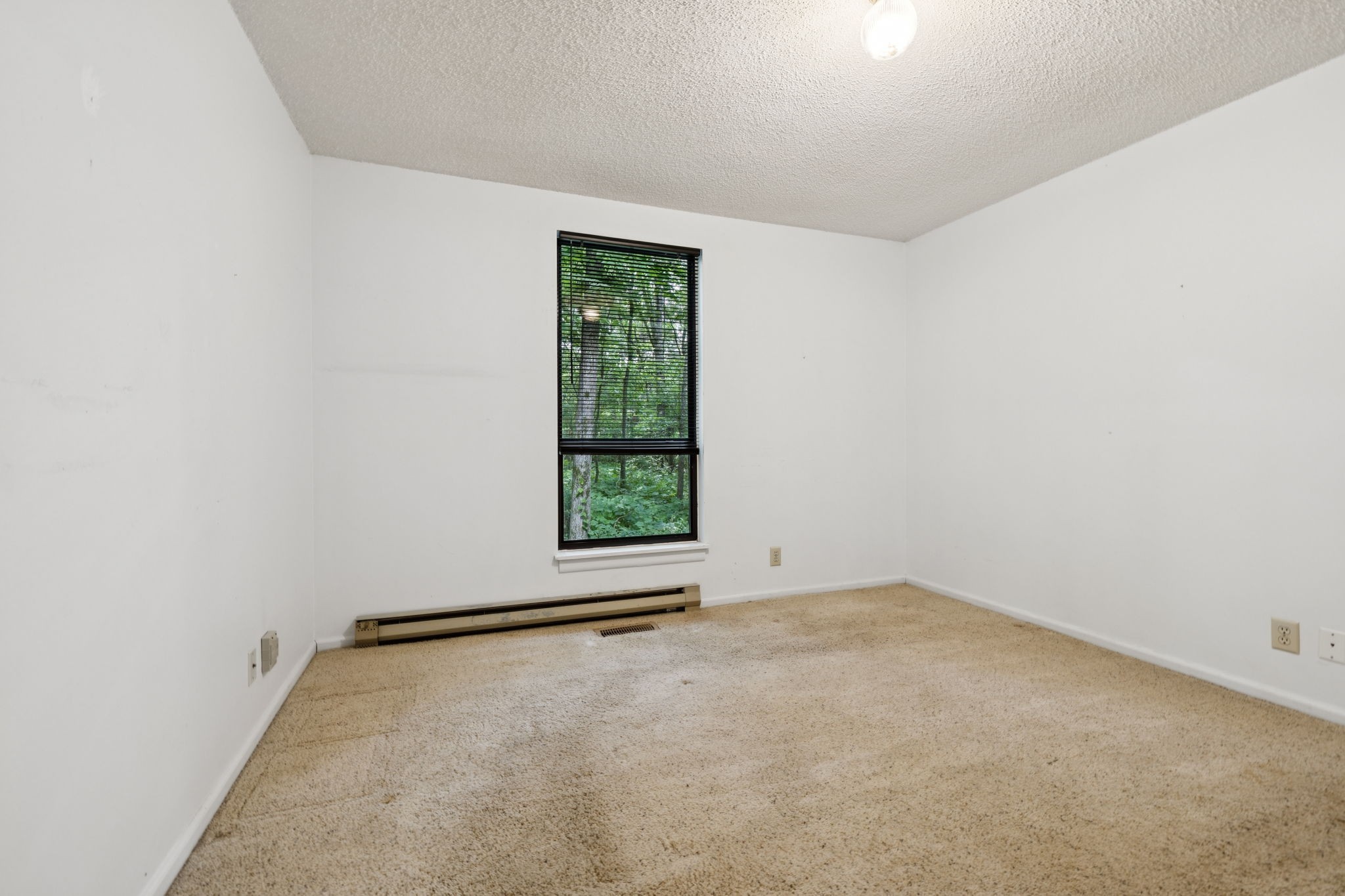 6031 Buckeye Valley Rd