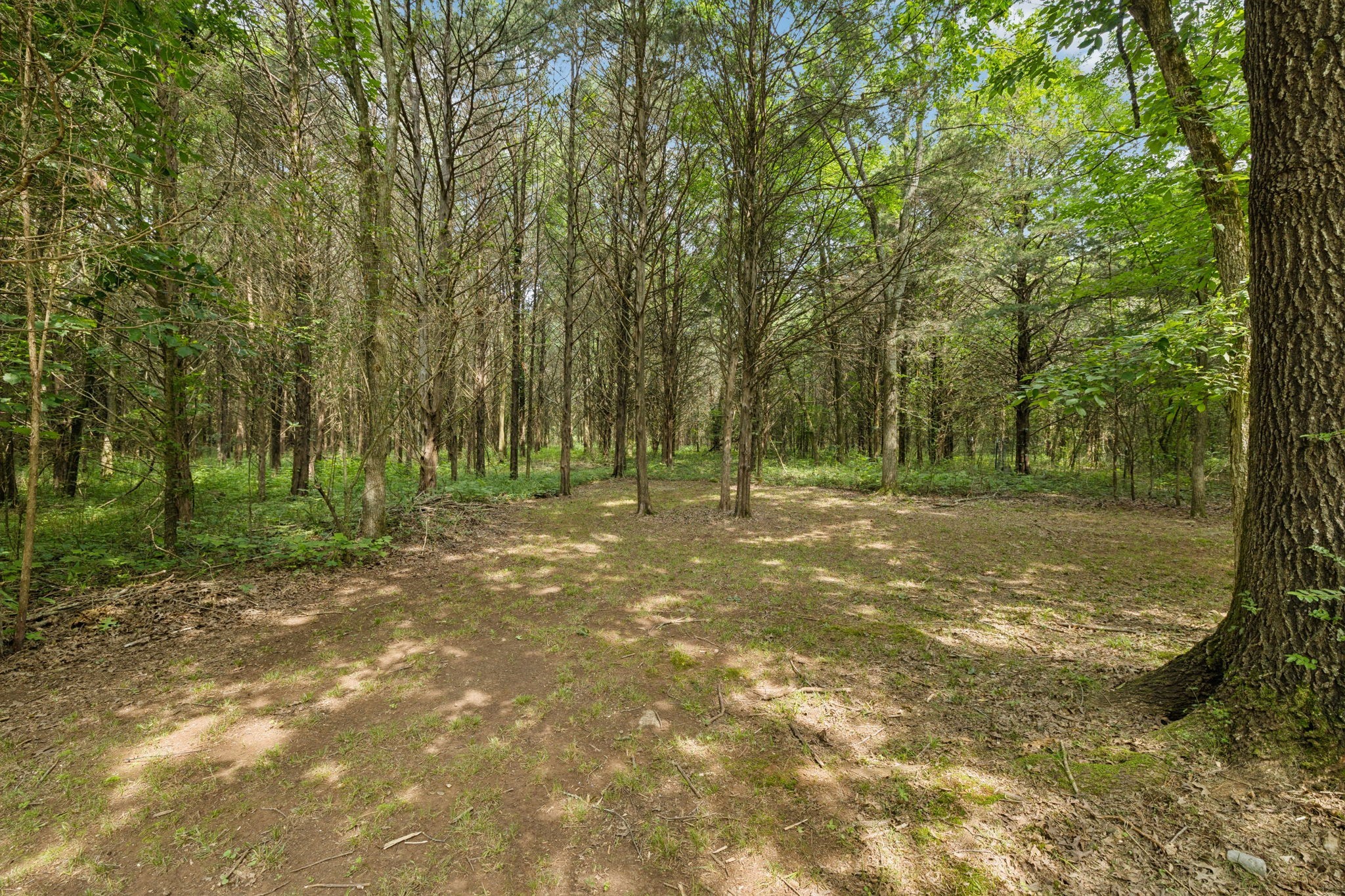 6031 Buckeye Valley Rd