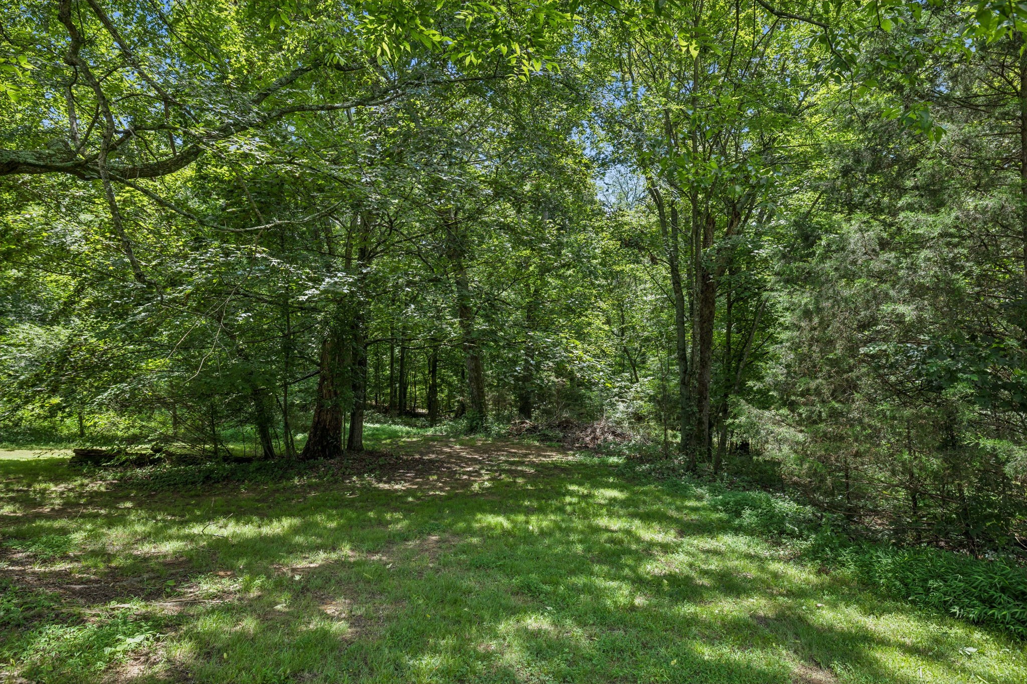1009 Bunker Hill Dr