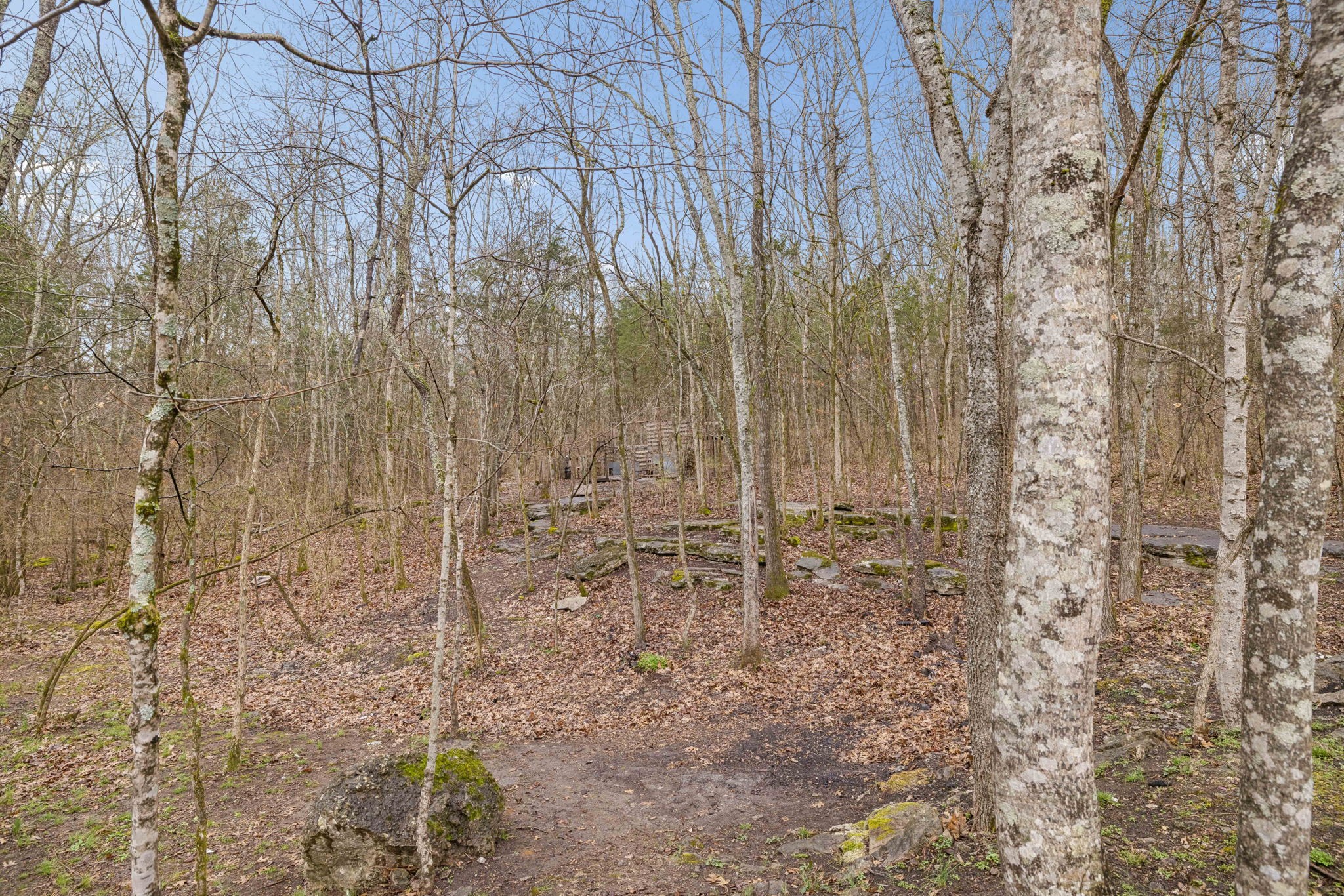 2510 Lewisburg Pike