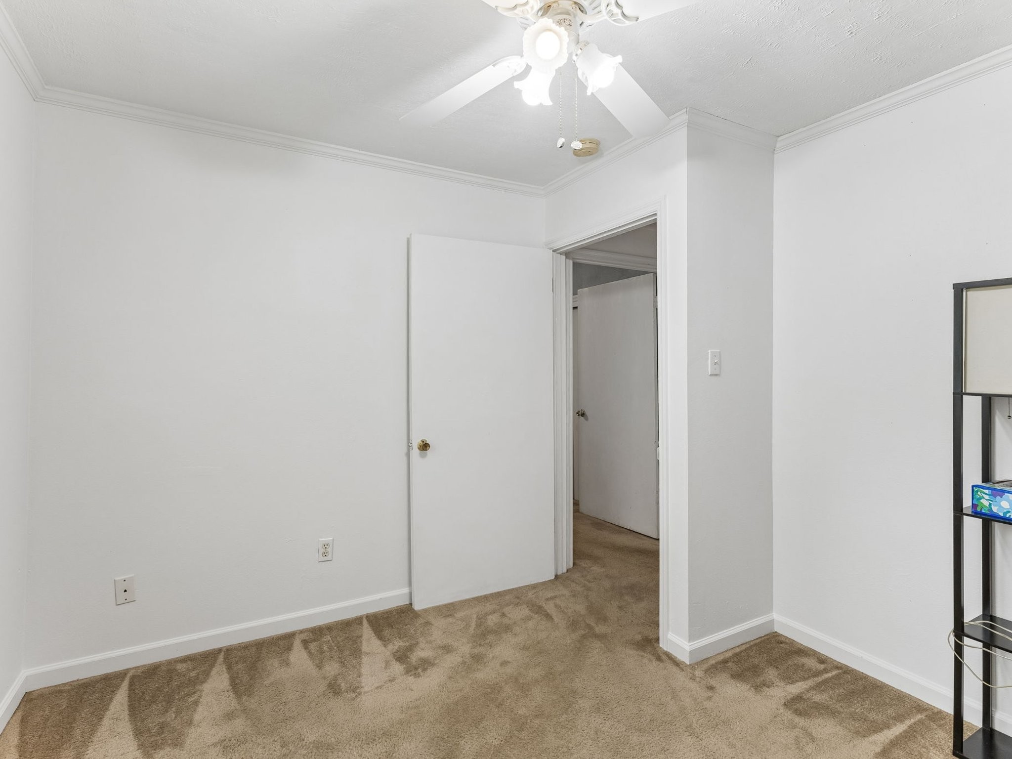 241 Jackson Ave