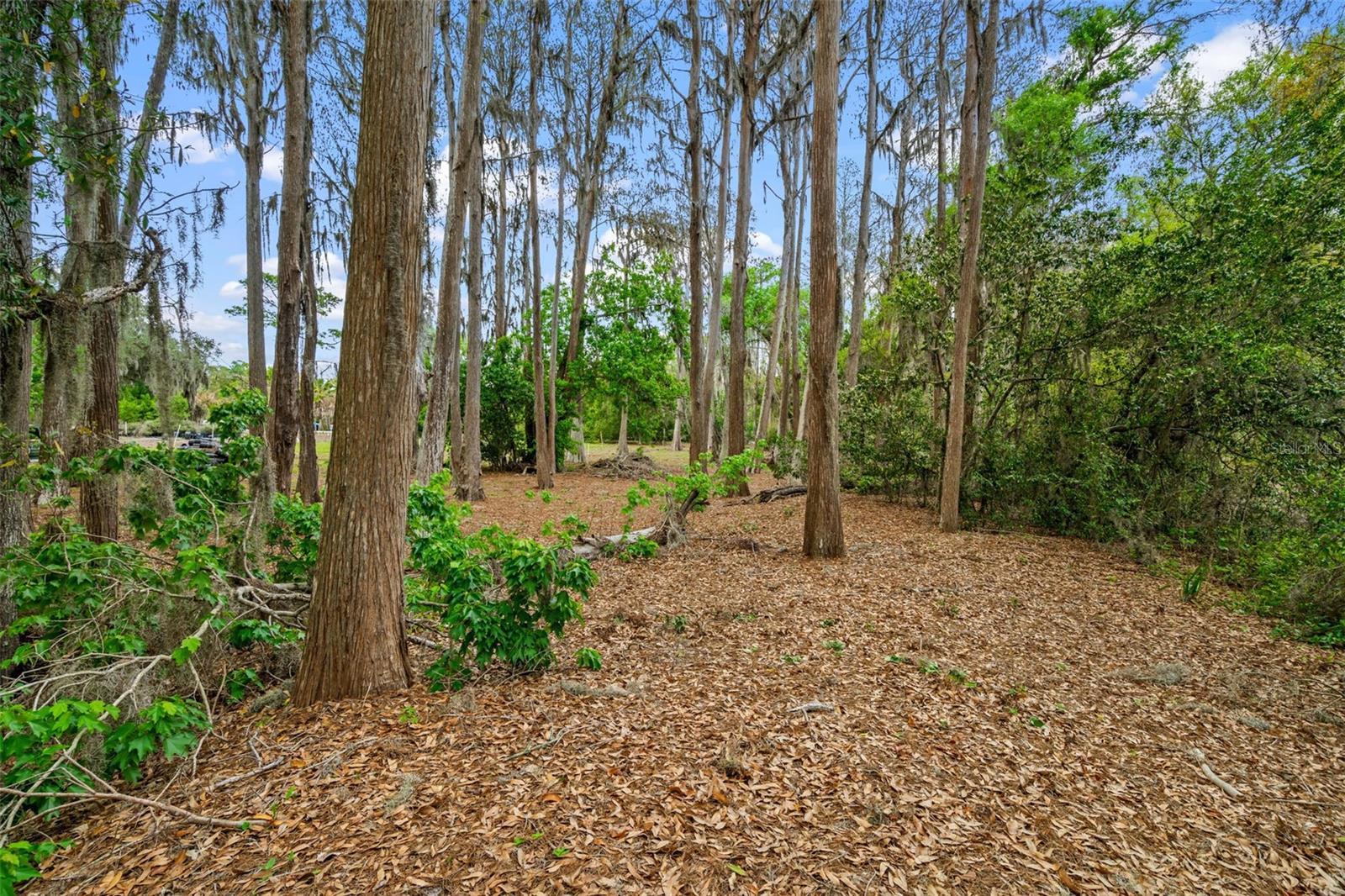 18117 BOY SCOUT RD