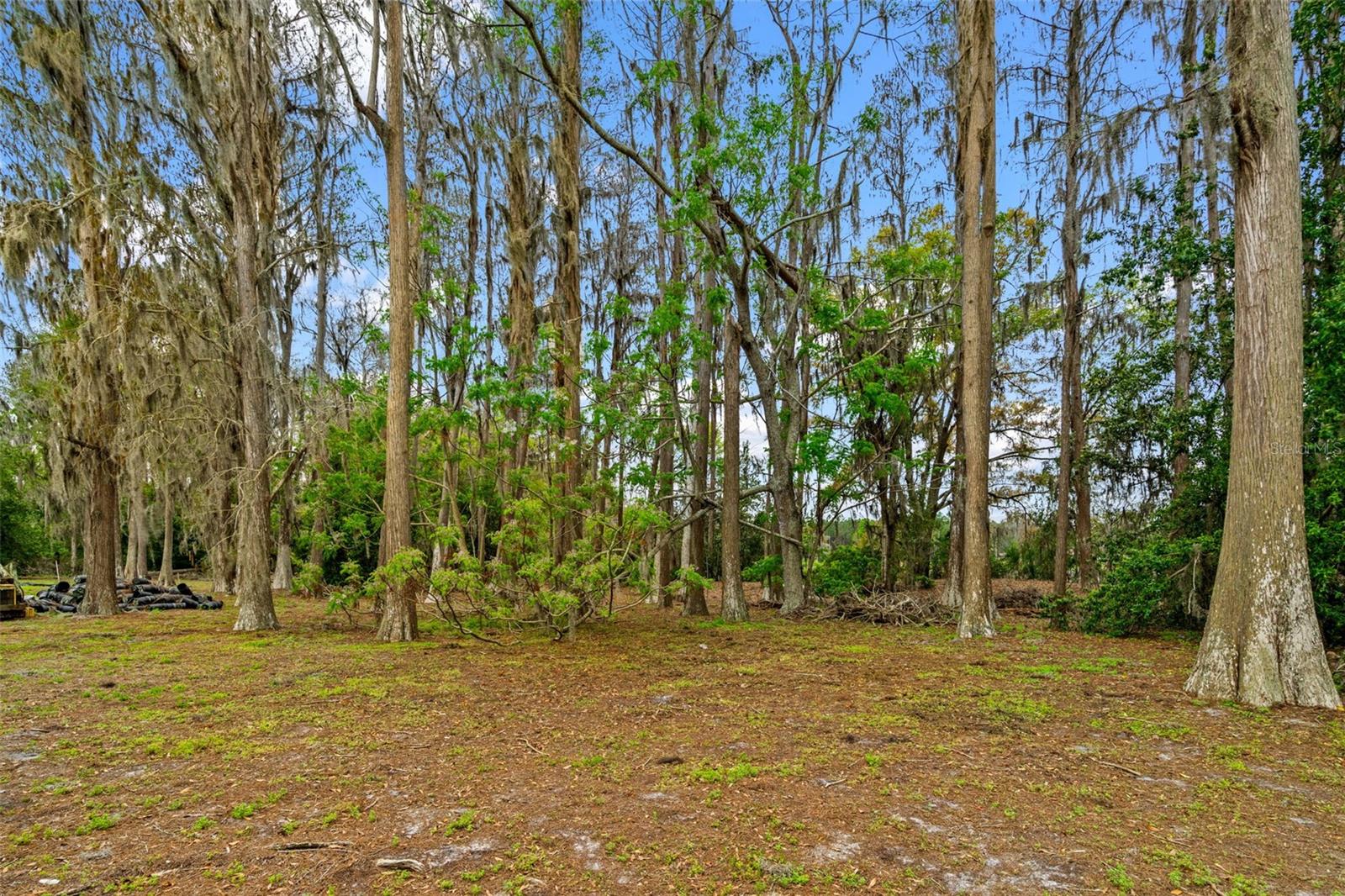 18117 BOY SCOUT RD