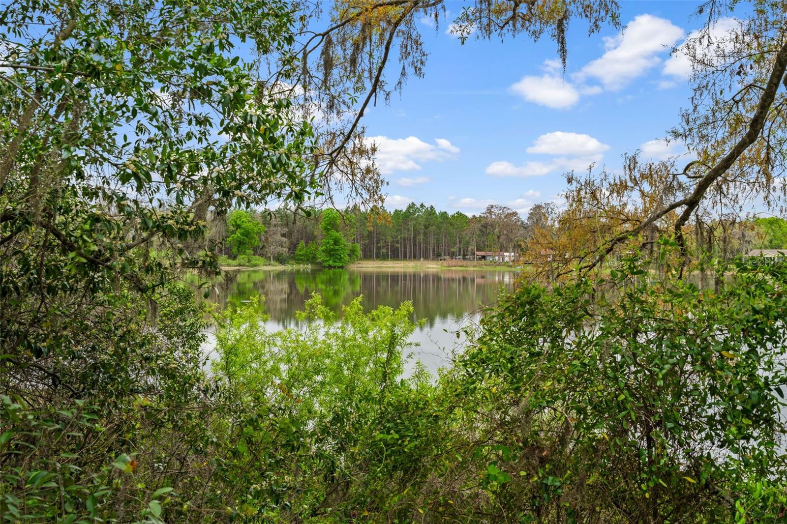 18117 BOY SCOUT RD