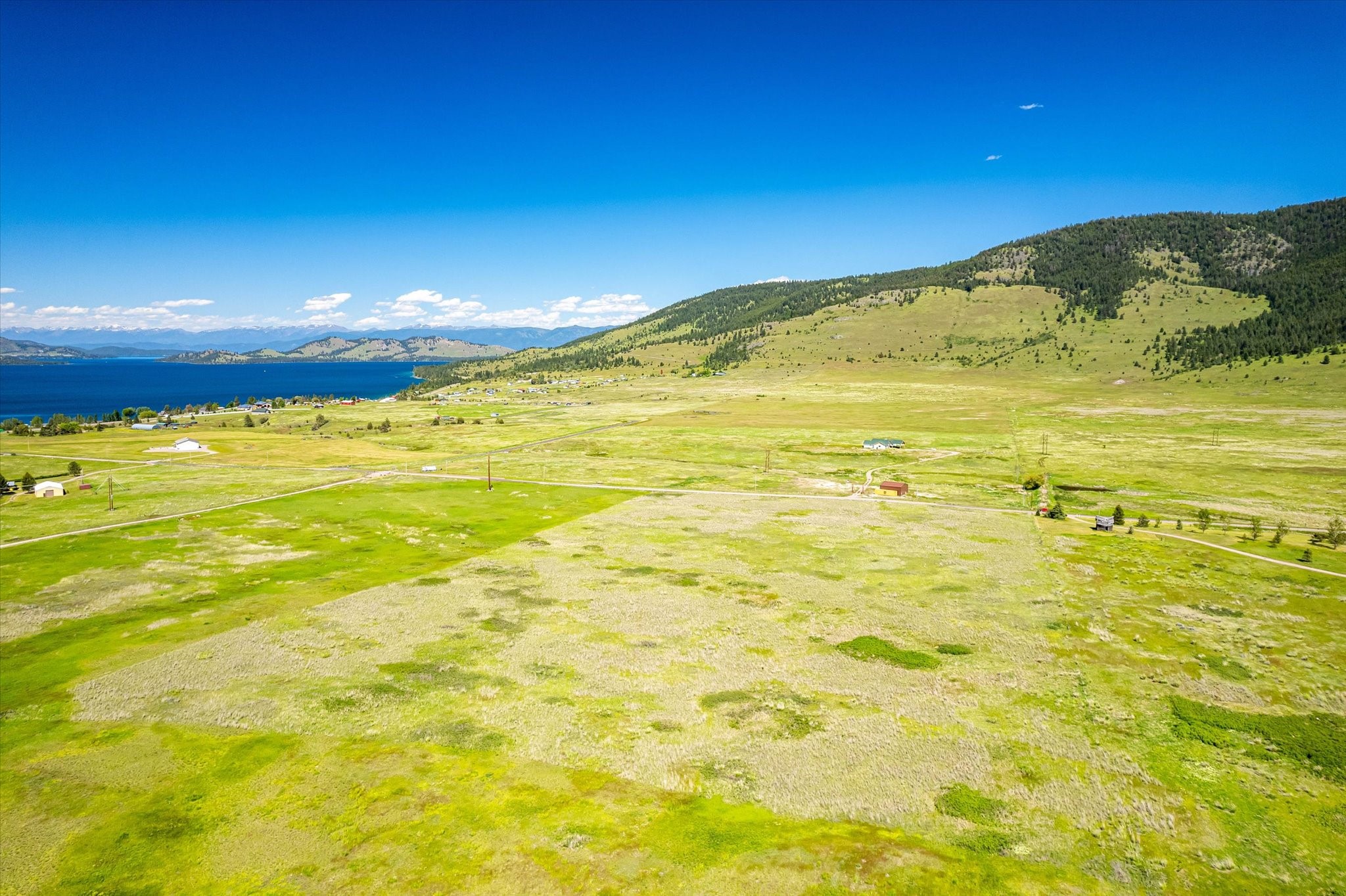 NHN Walking Horse Lane