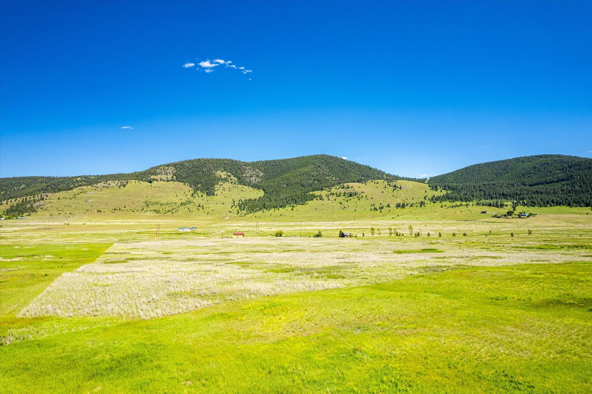 NHN Walking Horse Lane