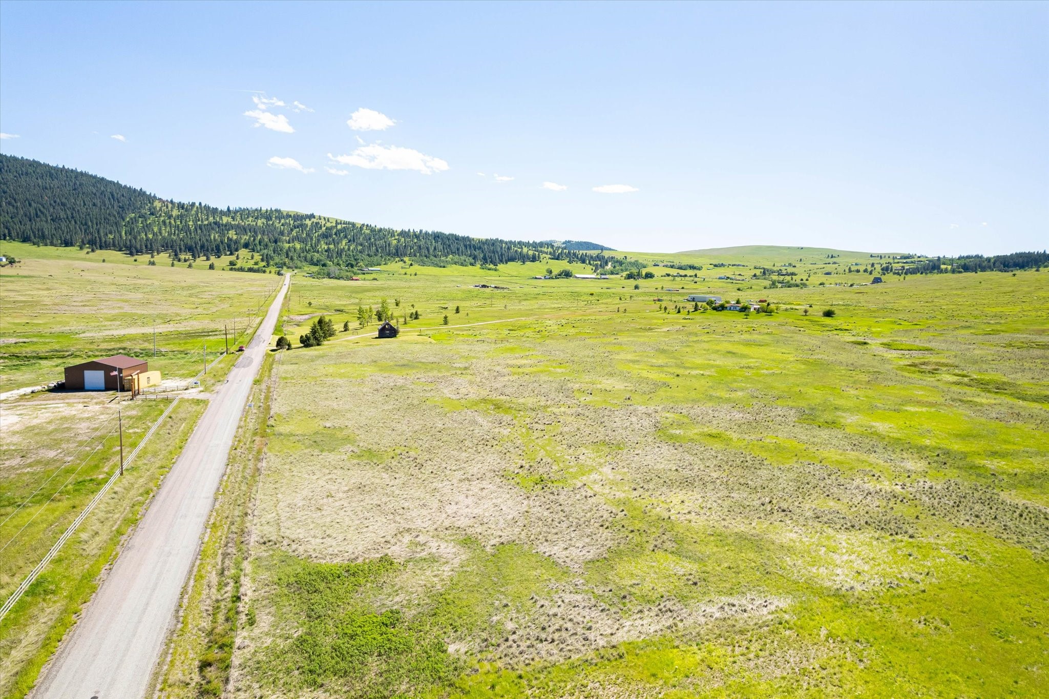 NHN Walking Horse Lane