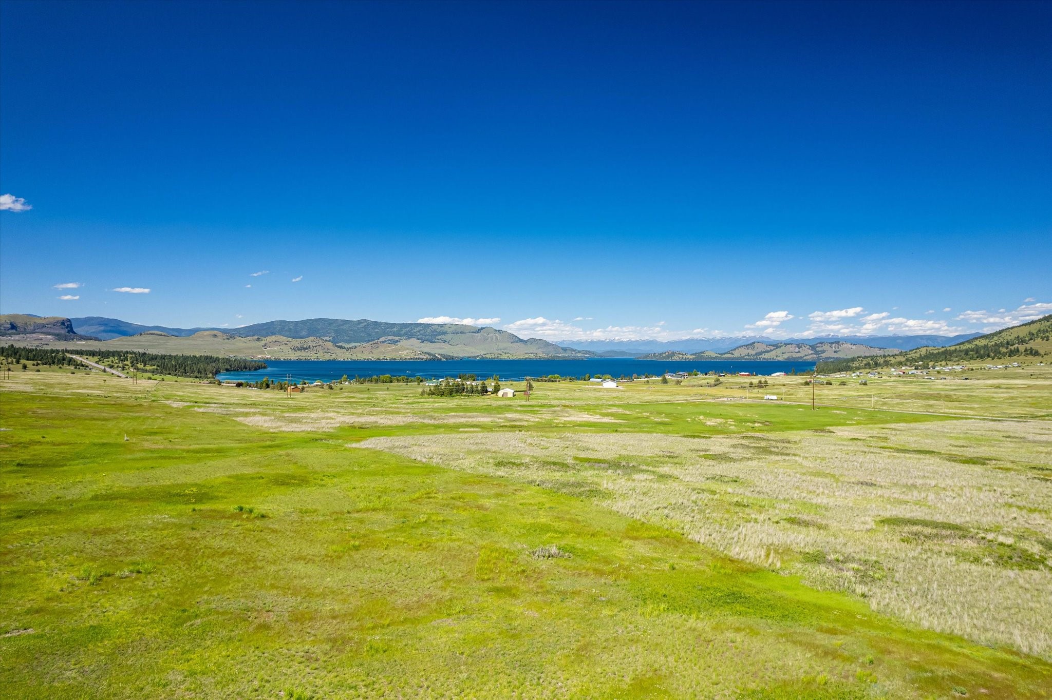 NHN Walking Horse Lane