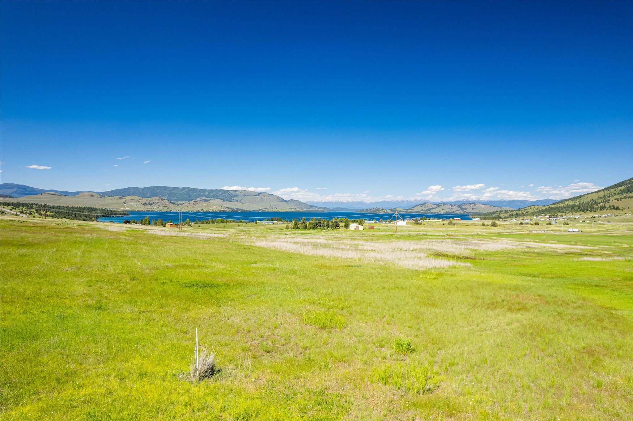 NHN Walking Horse Lane