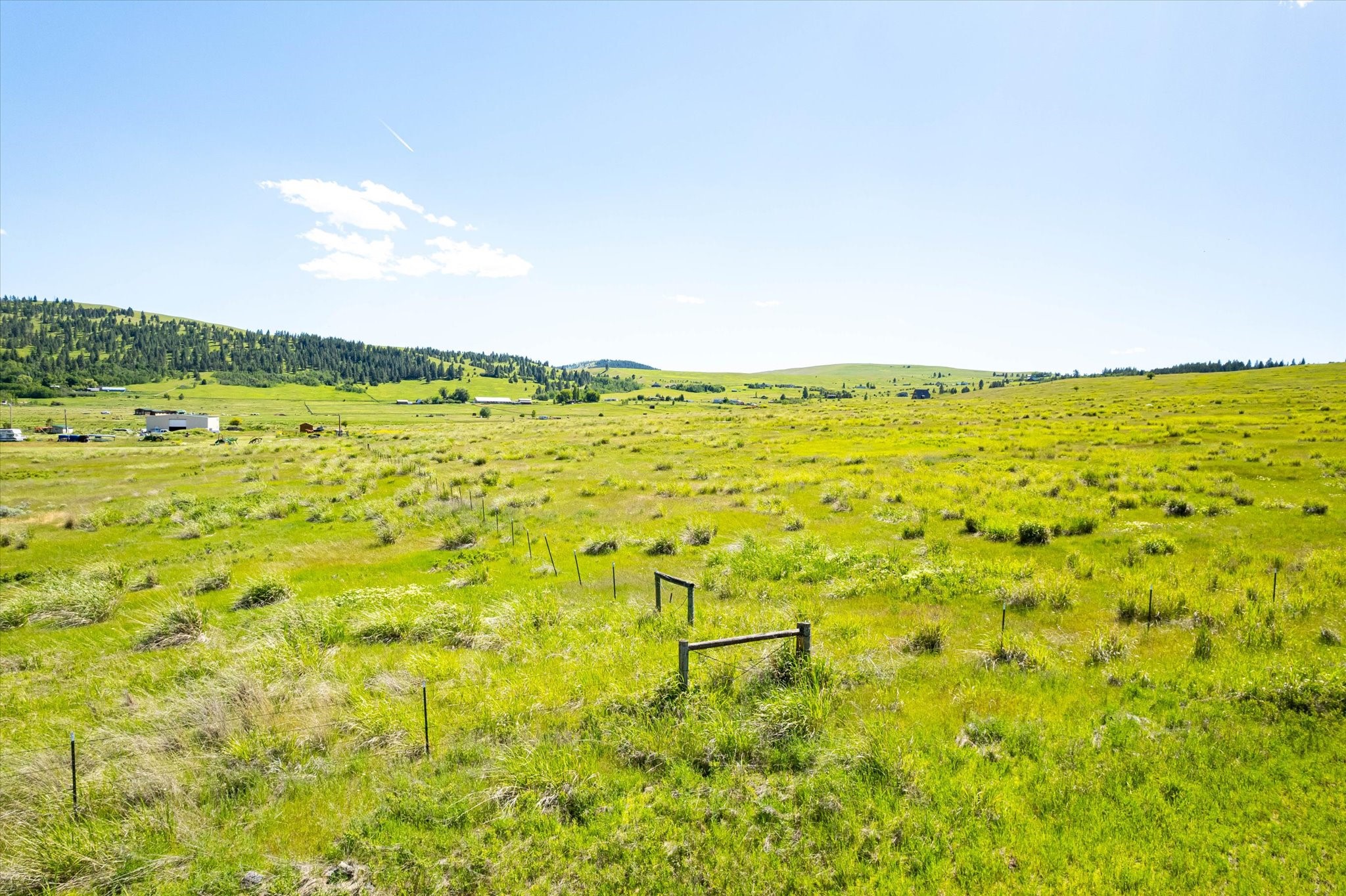 NHN Walking Horse Lane