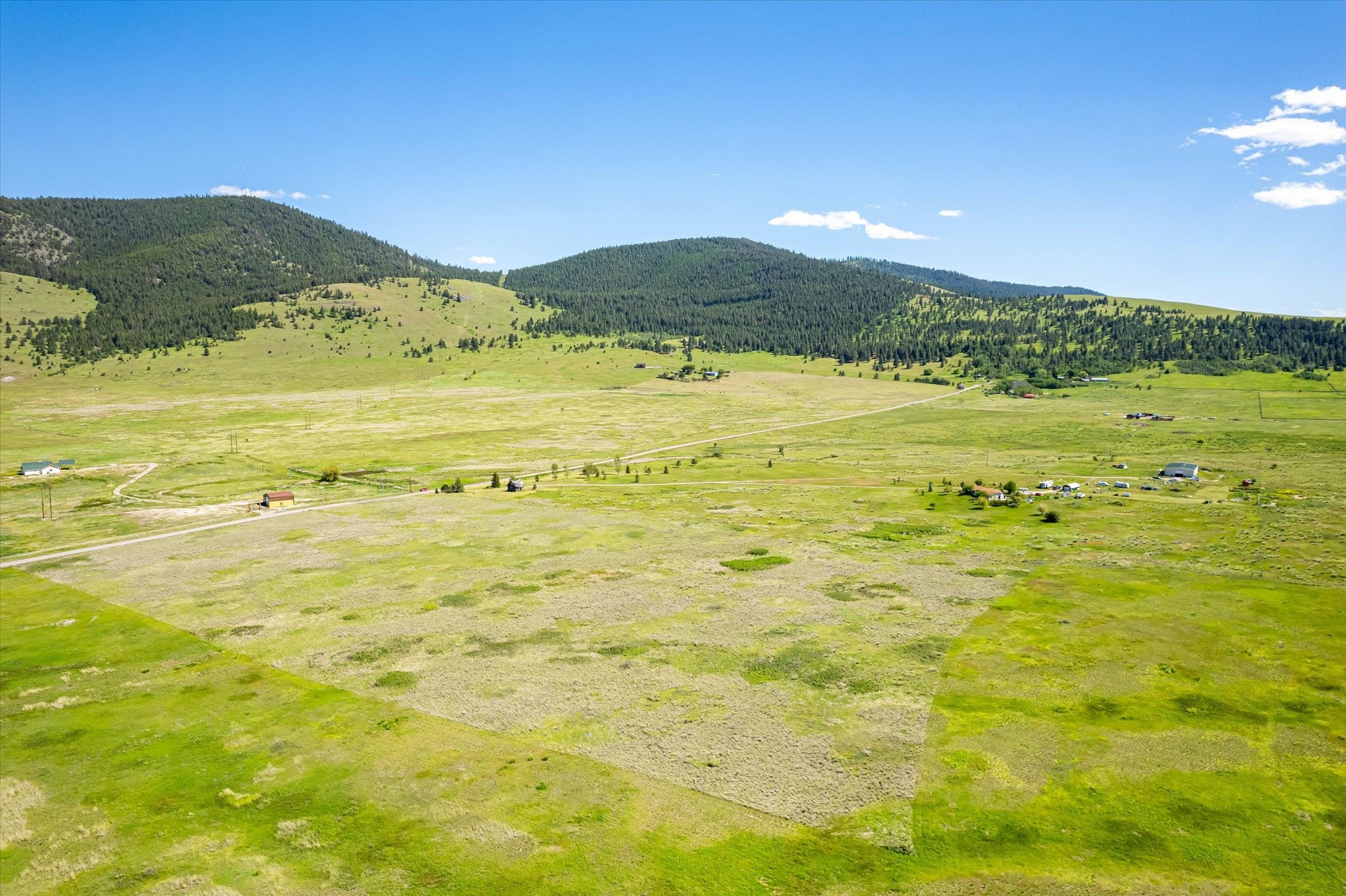 NHN Walking Horse Lane