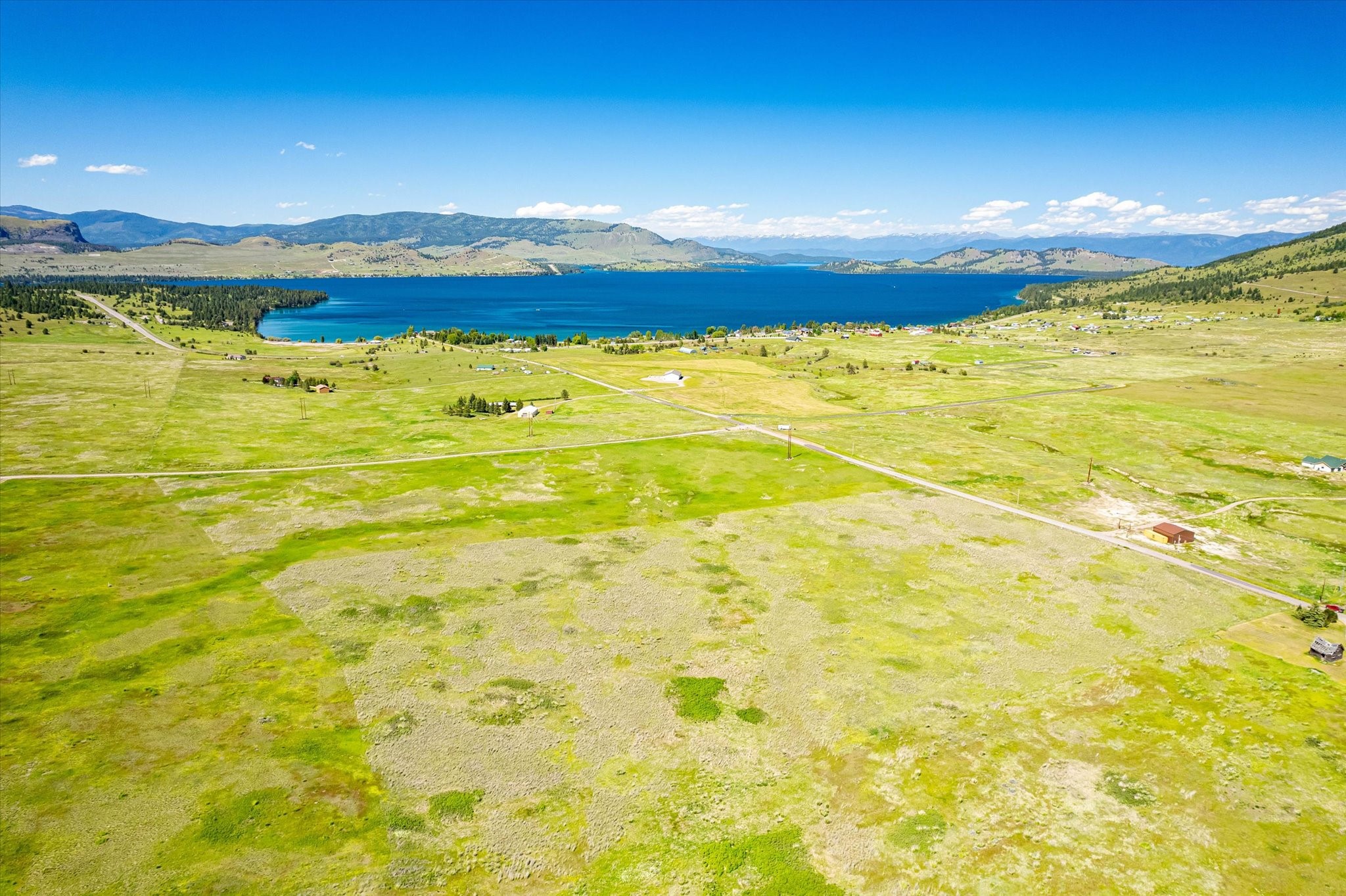 NHN Walking Horse Lane