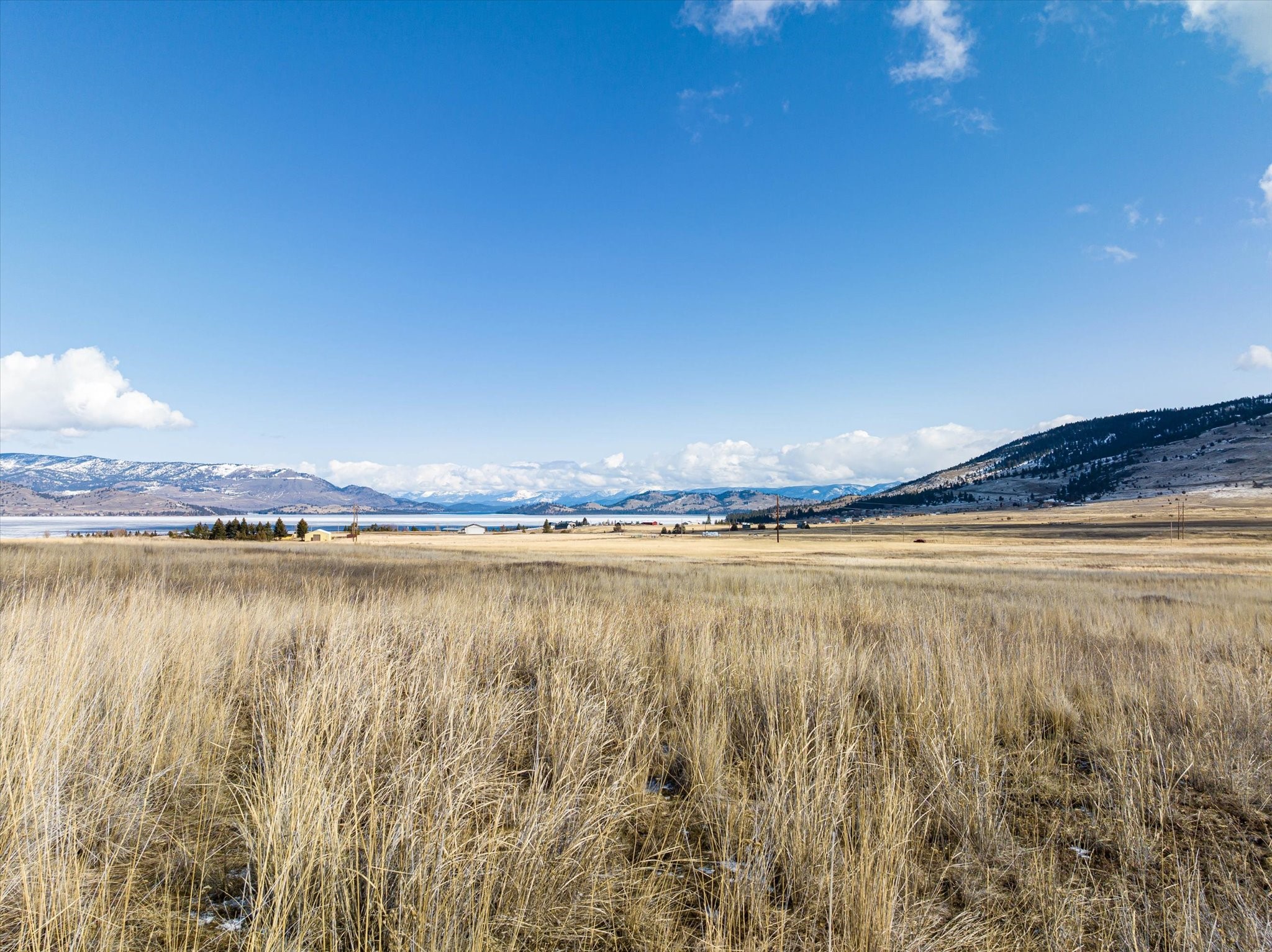 NHN Walking Horse Lane