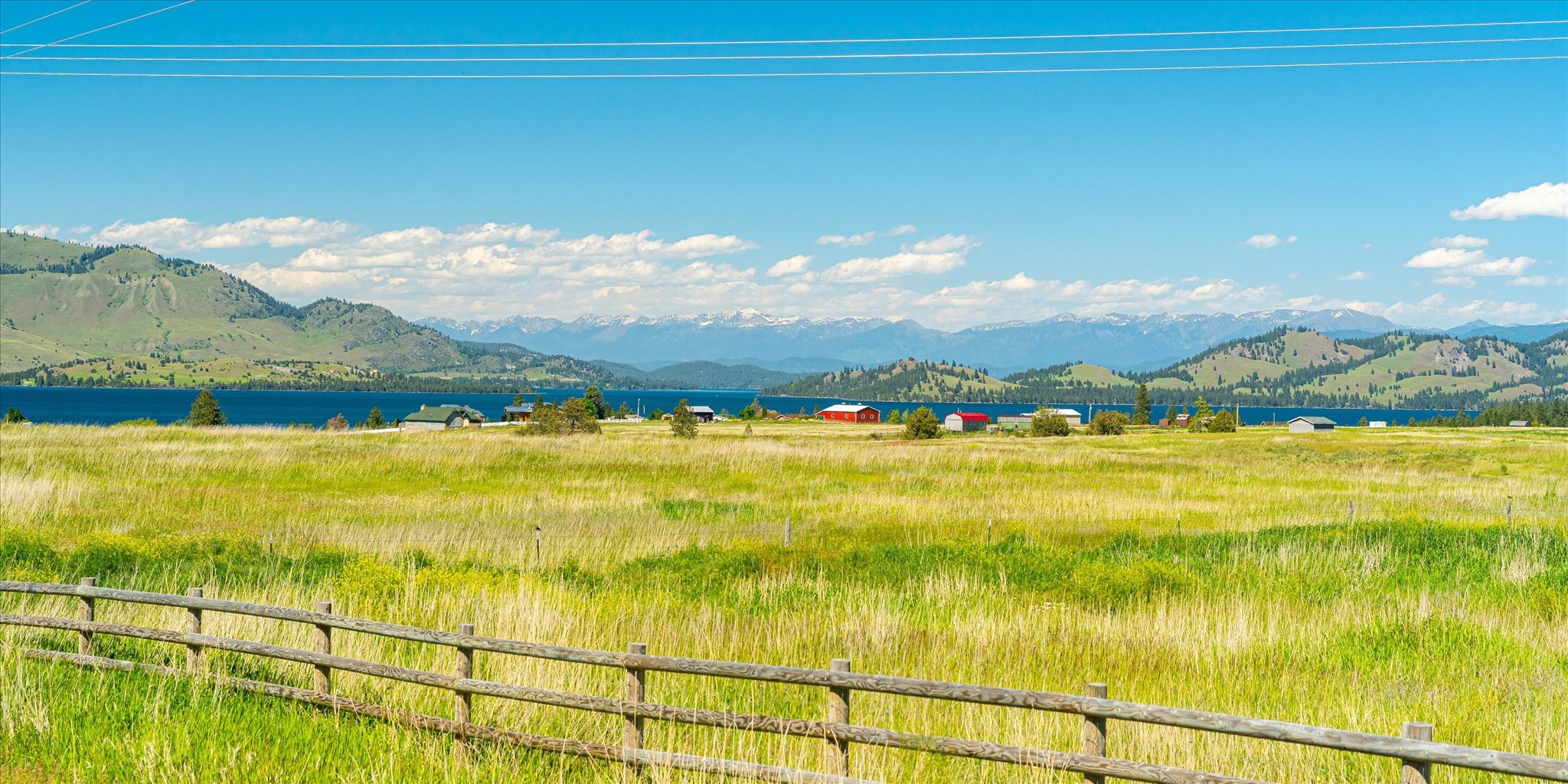 NHN Walking Horse Lane