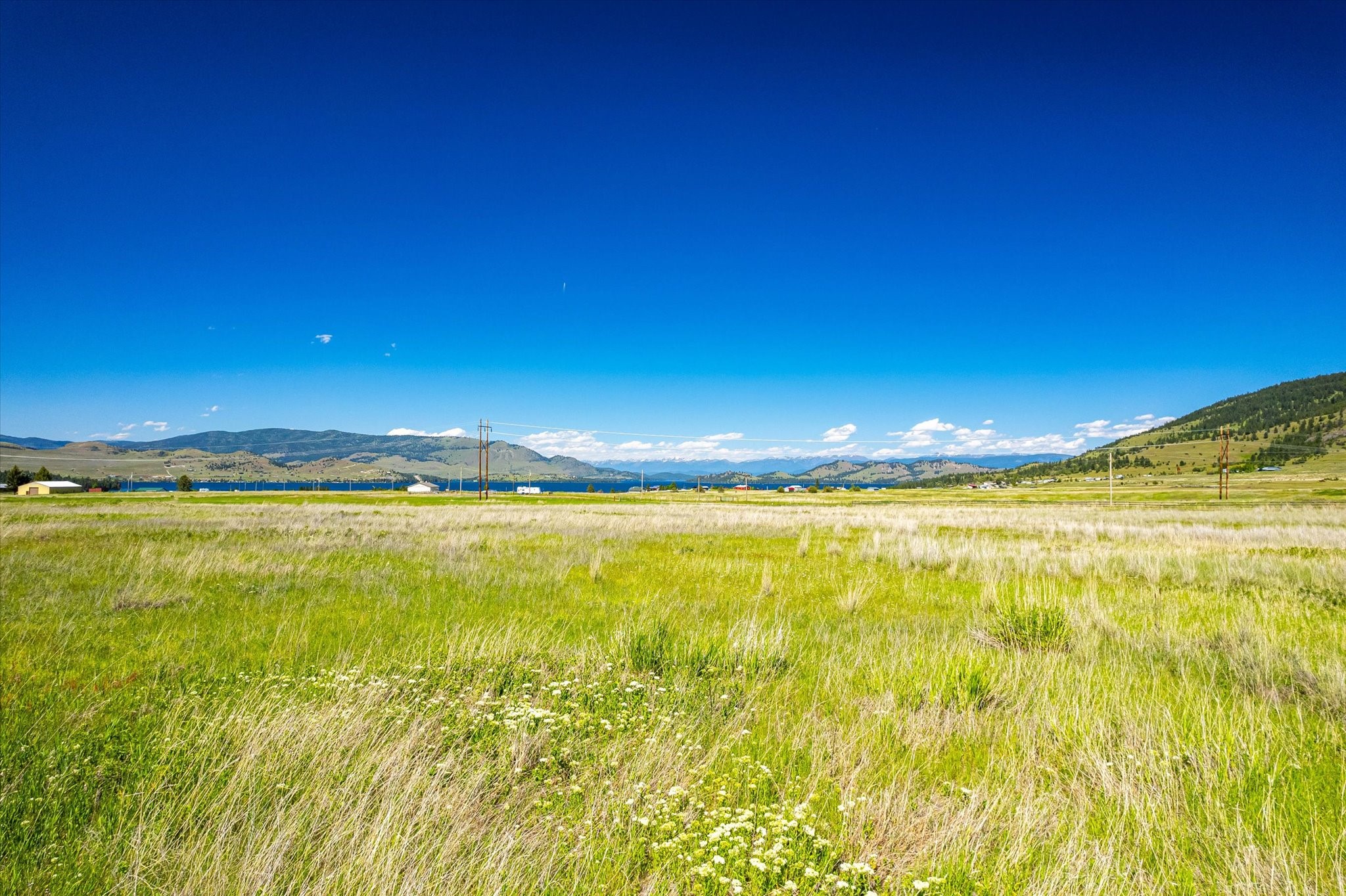 NHN Walking Horse Lane