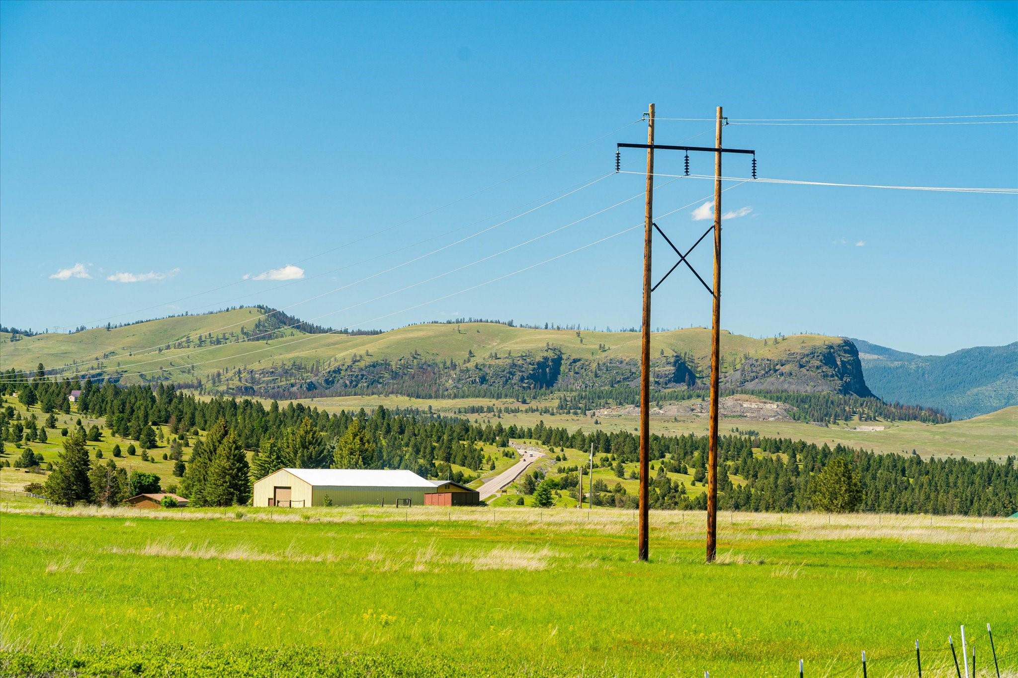 NHN Walking Horse Lane