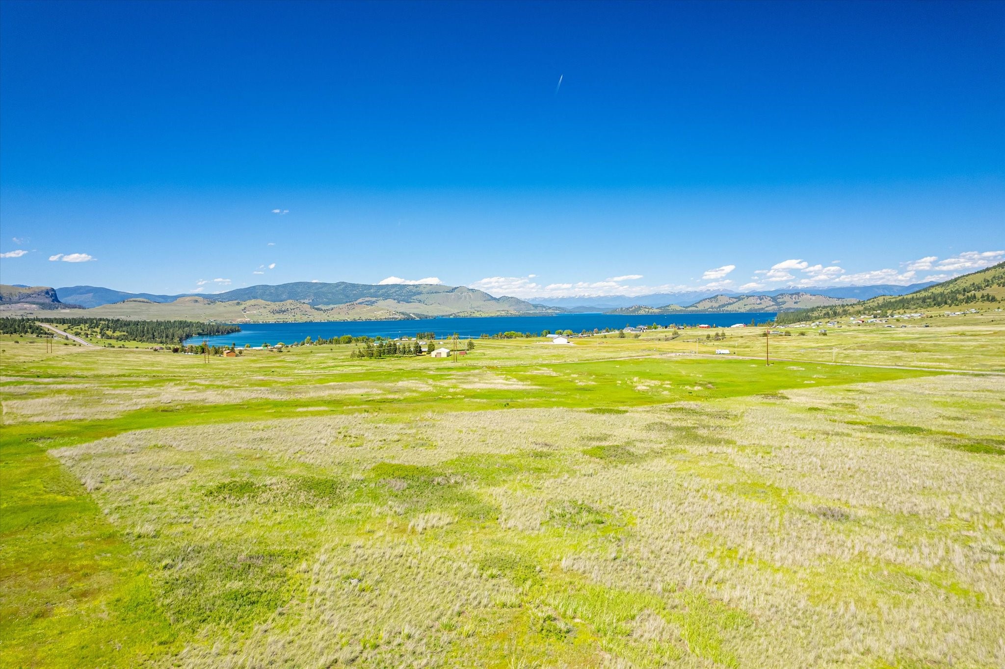 NHN Walking Horse Lane