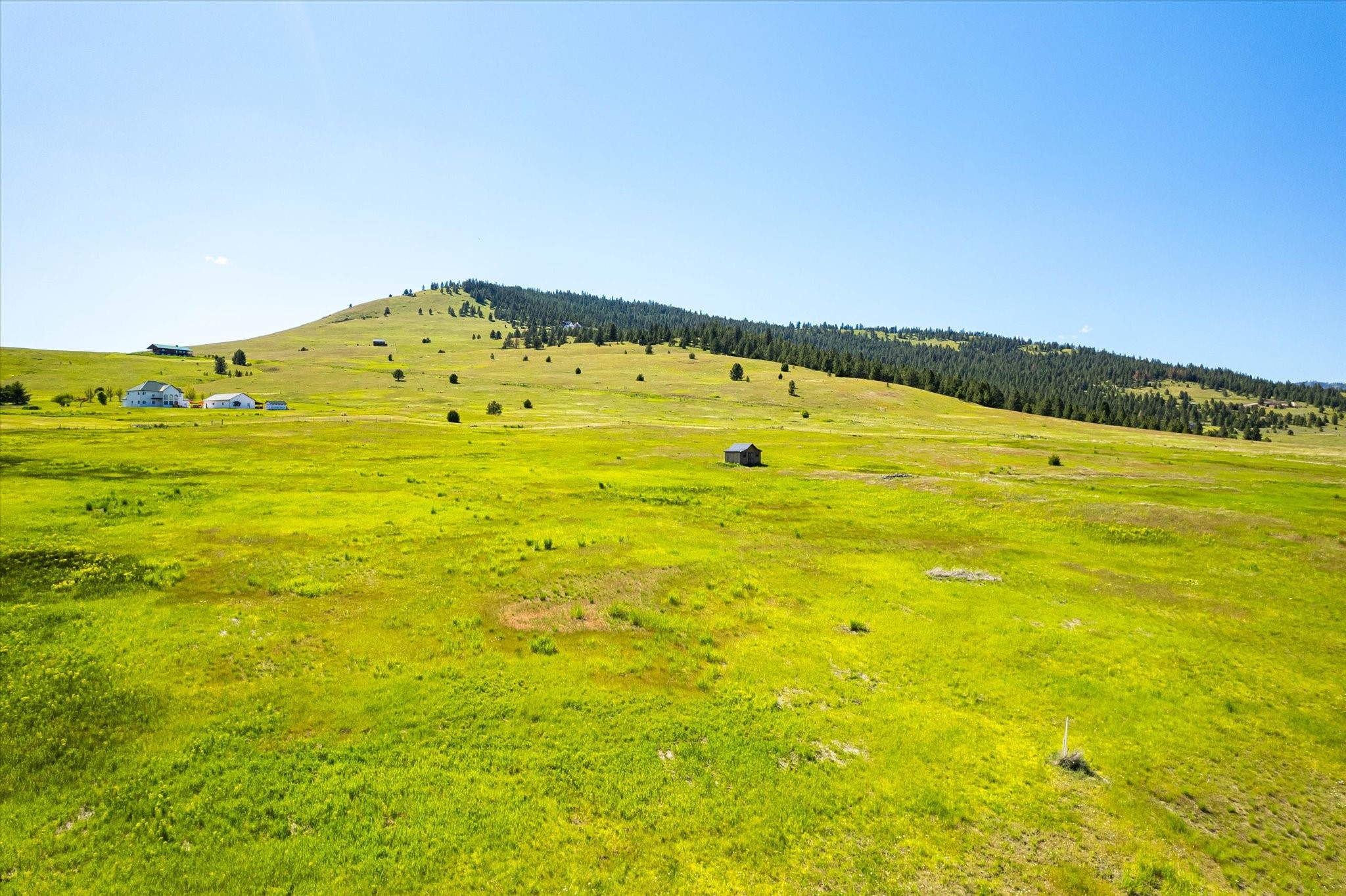 NHN Walking Horse Lane